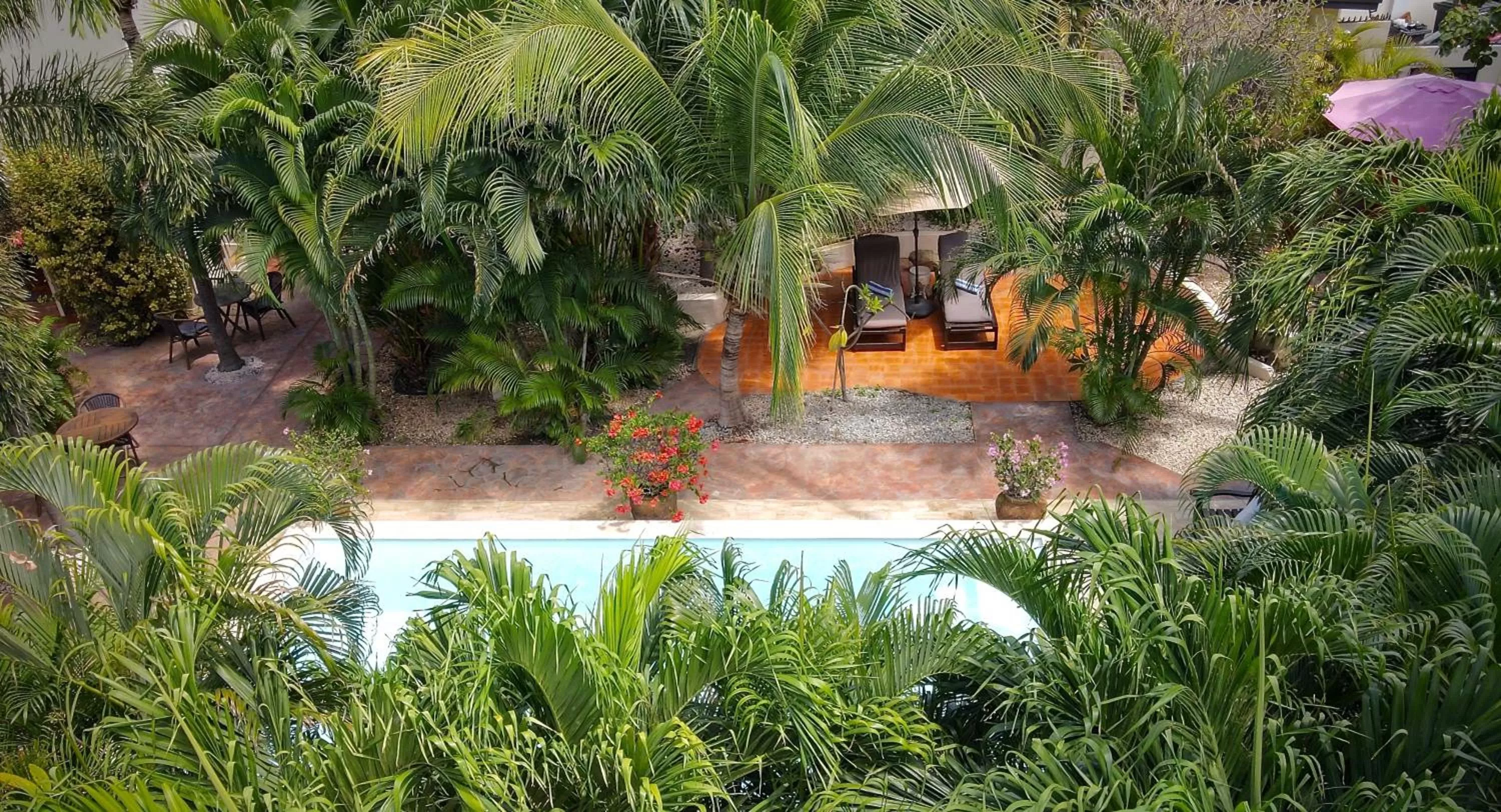 Swimming pool in Wonders Boutique Hotel