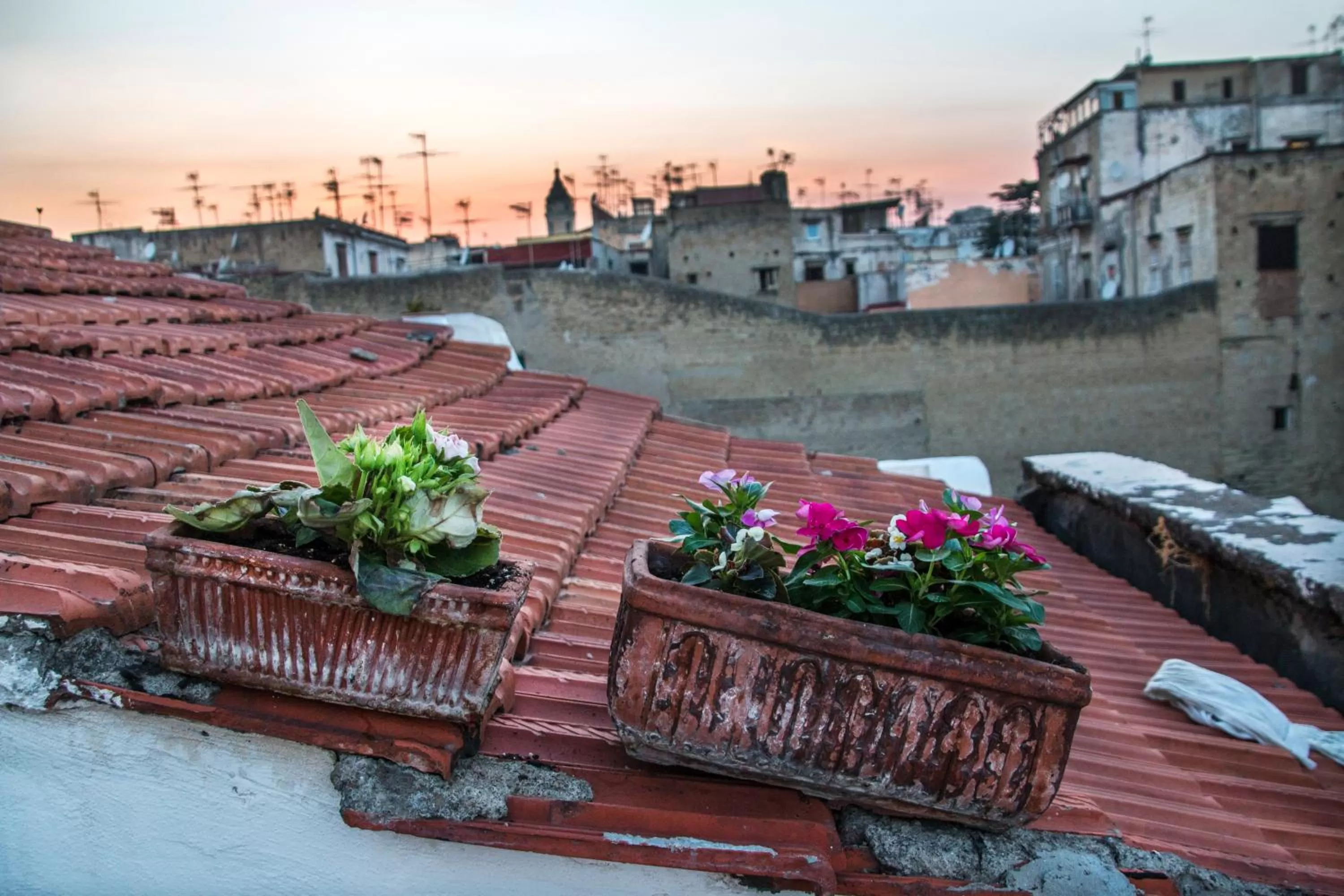 Balcony/Terrace in B&B Epoche'