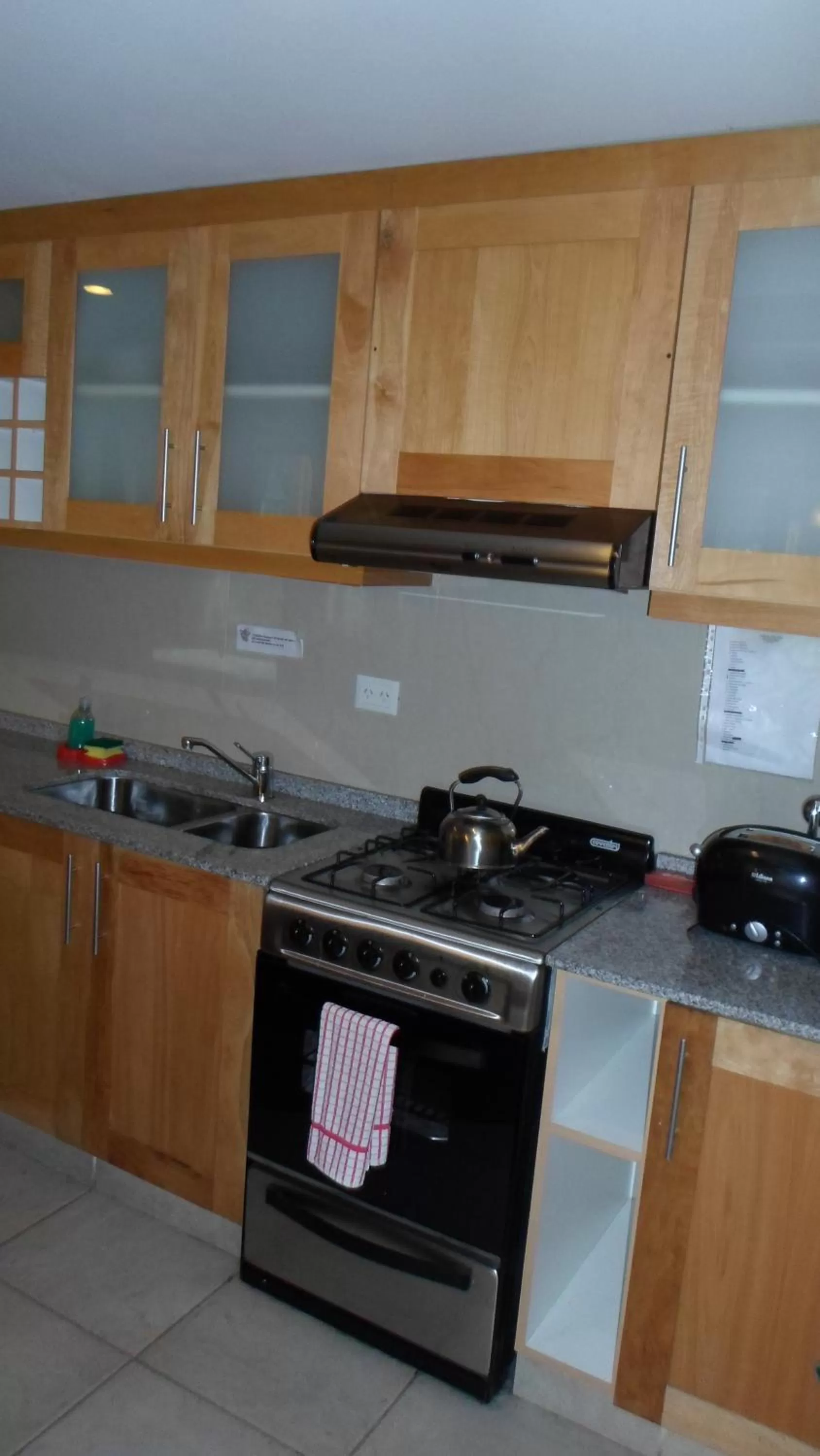 Kitchen or kitchenette in Apart Hotel Robles del Sur