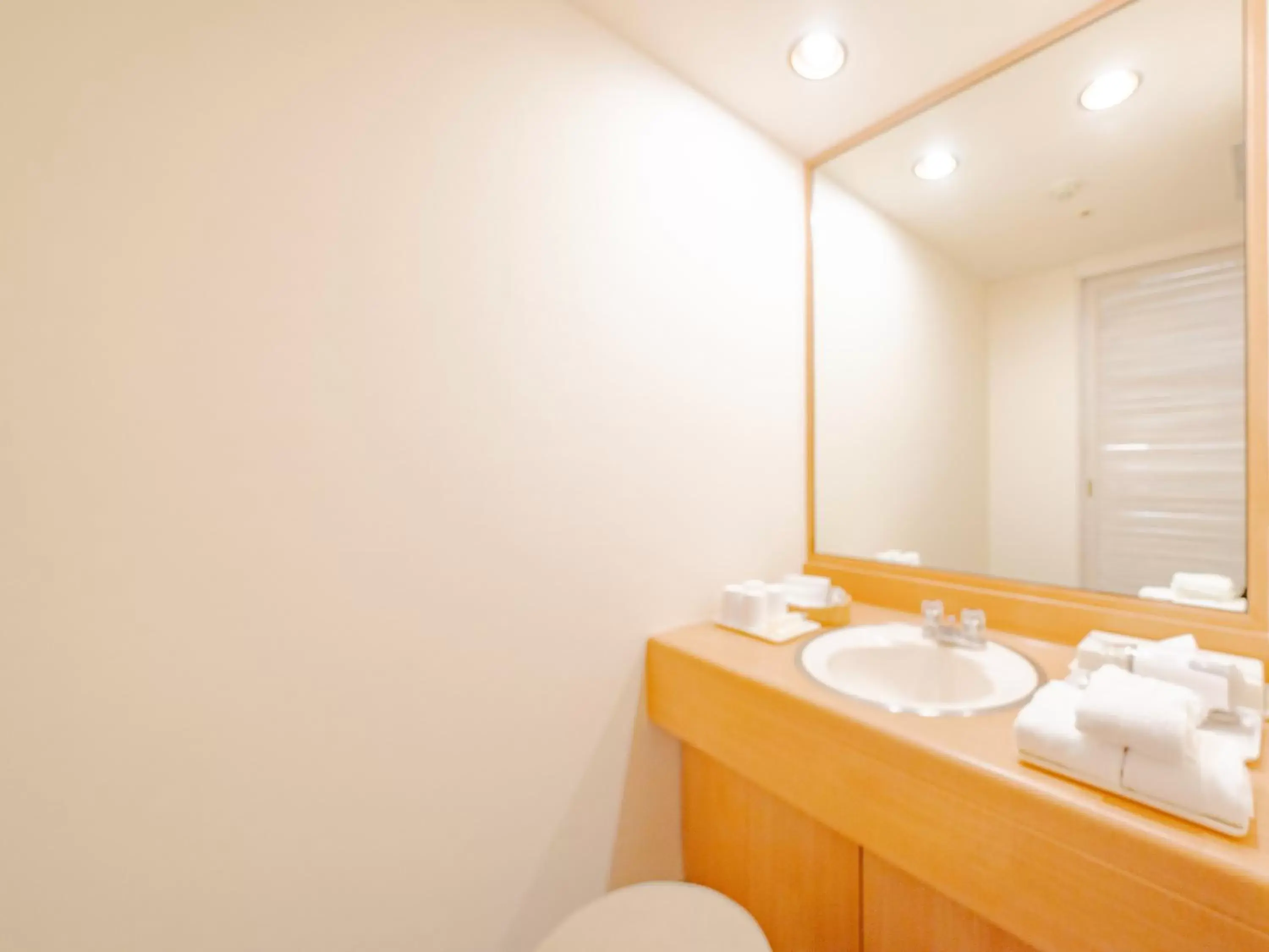 Bathroom in Hotel Grand Terrace Obihiro