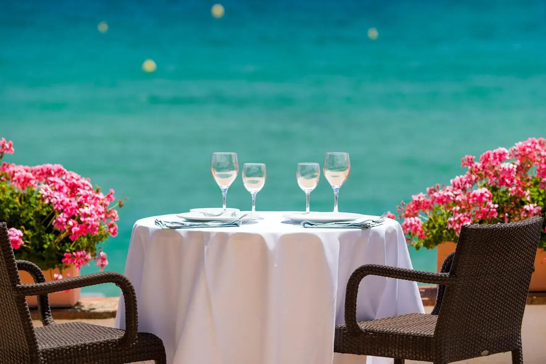 Restaurant/Places to Eat in Hotel Santa Marta