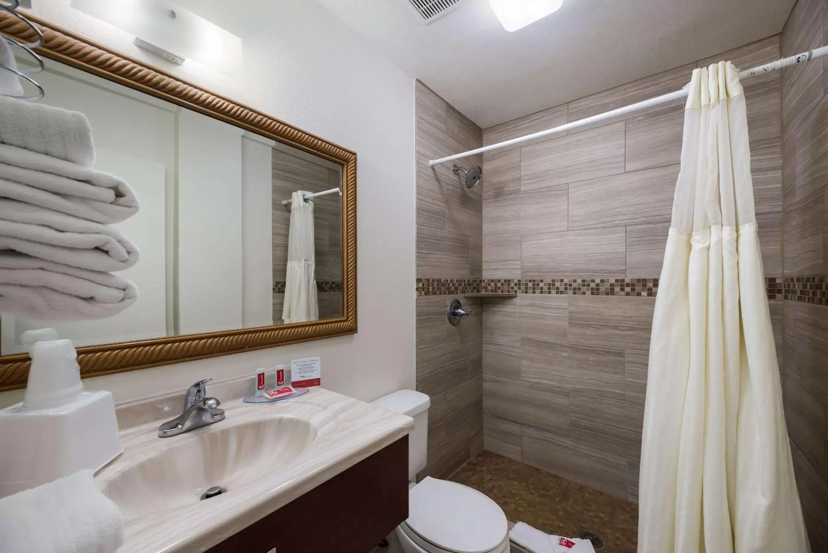 Bathroom in Econo Lodge Inn & Suites Williams - Grand Canyon Area