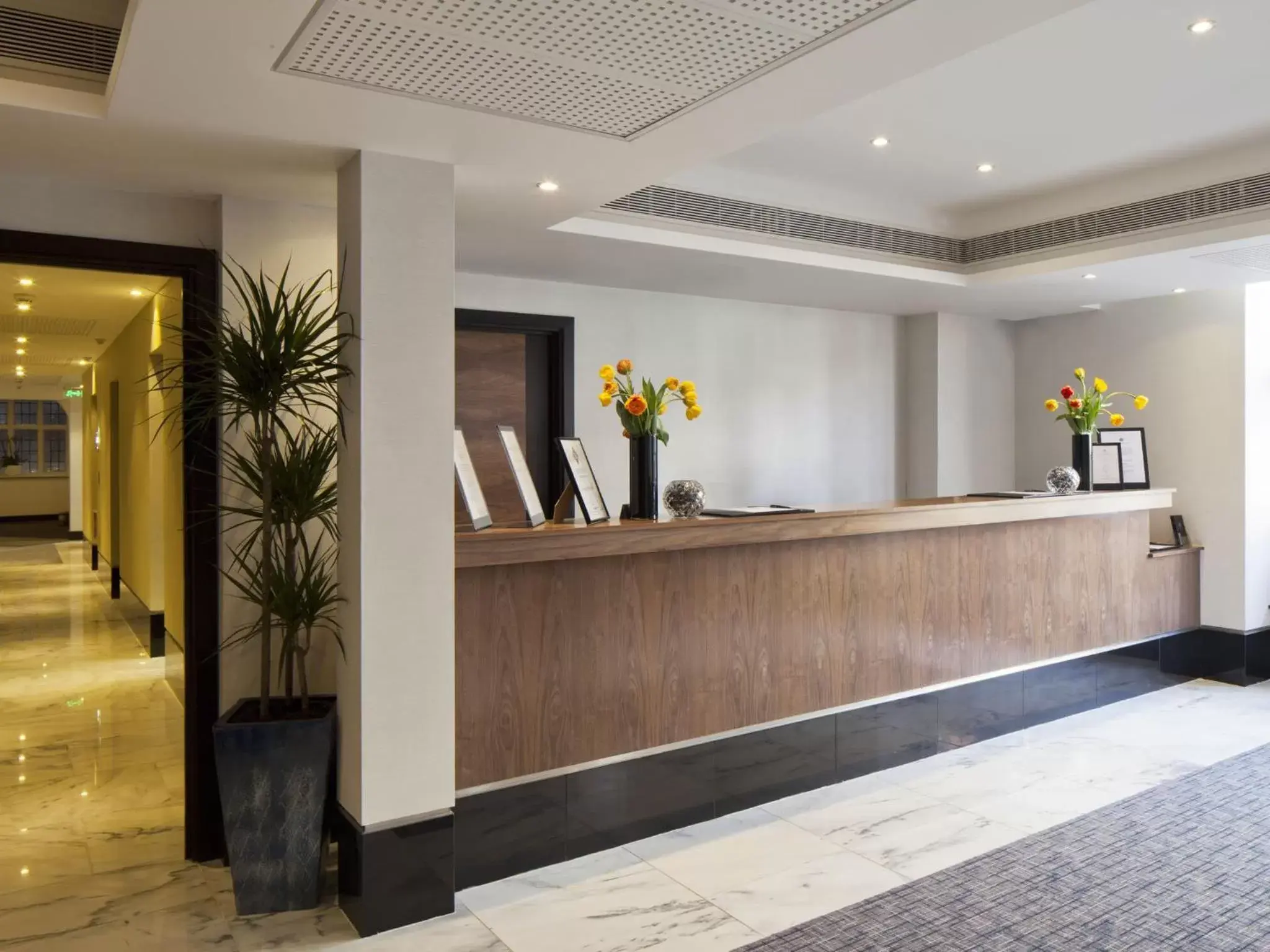 Lobby or reception in Wellington Hotel by Blue Orchid Lobby or reception in Wellington Hotel by Blue Orchid