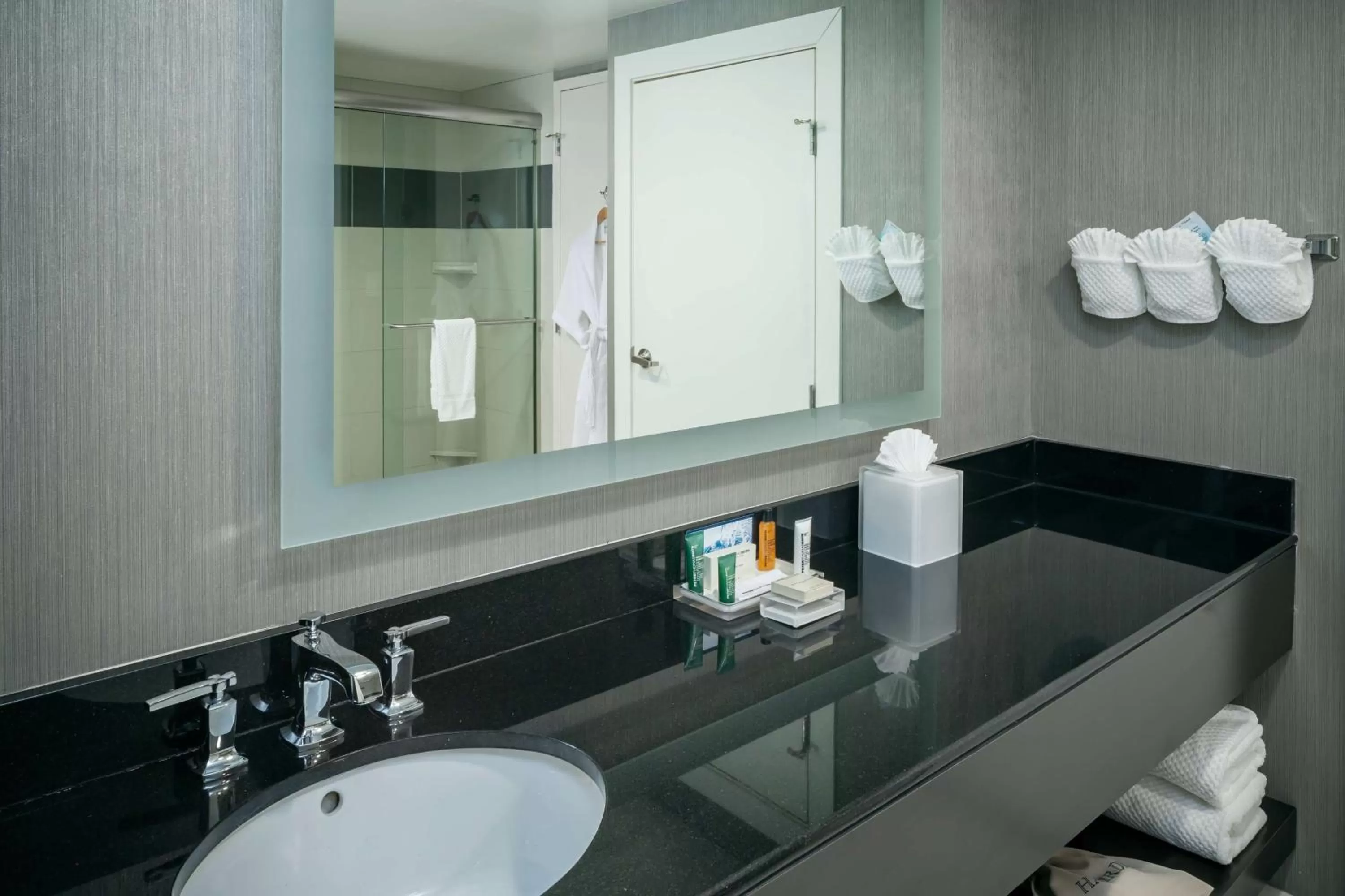 Bathroom in Hilton Suites Brentwood