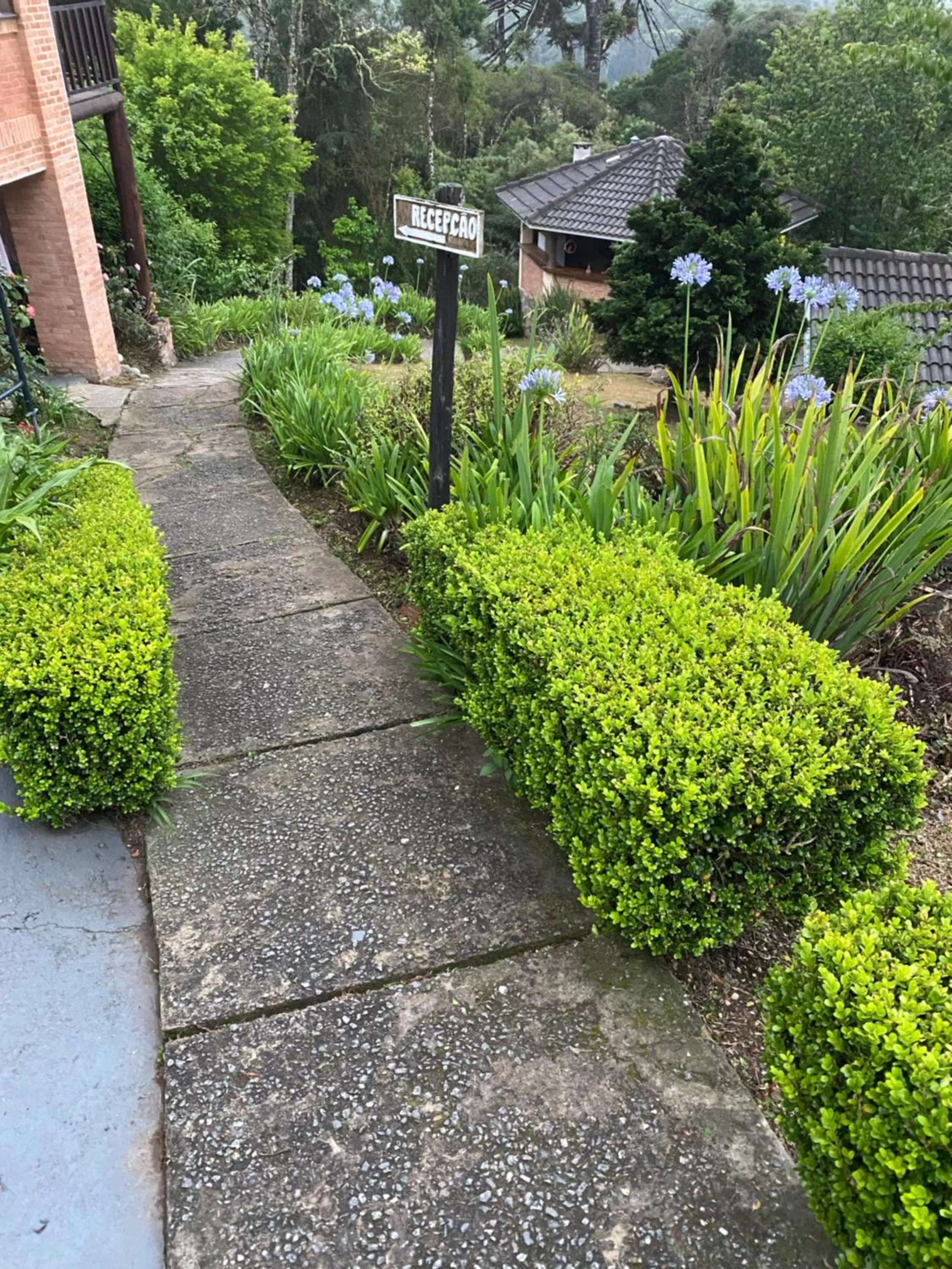 Location in Pousada 3 Pinheiros