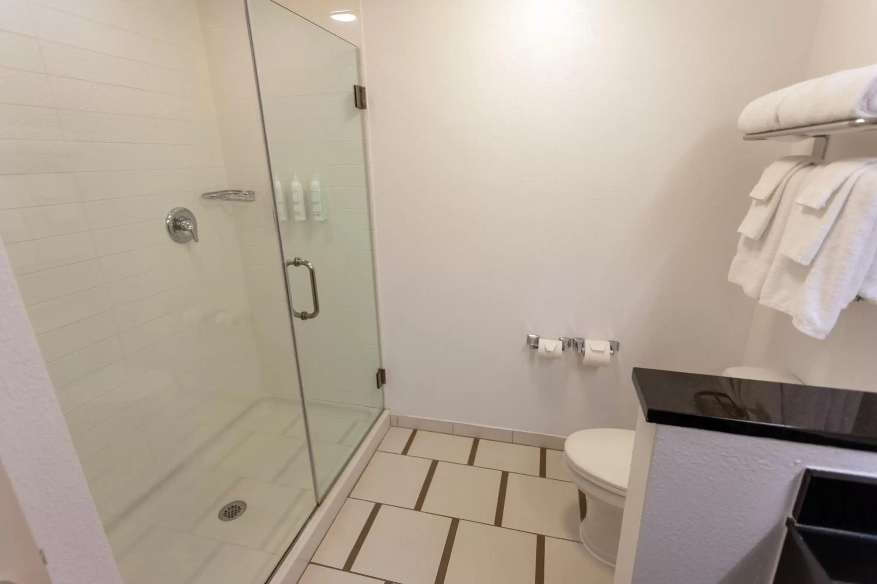 Bathroom in Fairfield Inn & Suites by Marriott Athens I-65