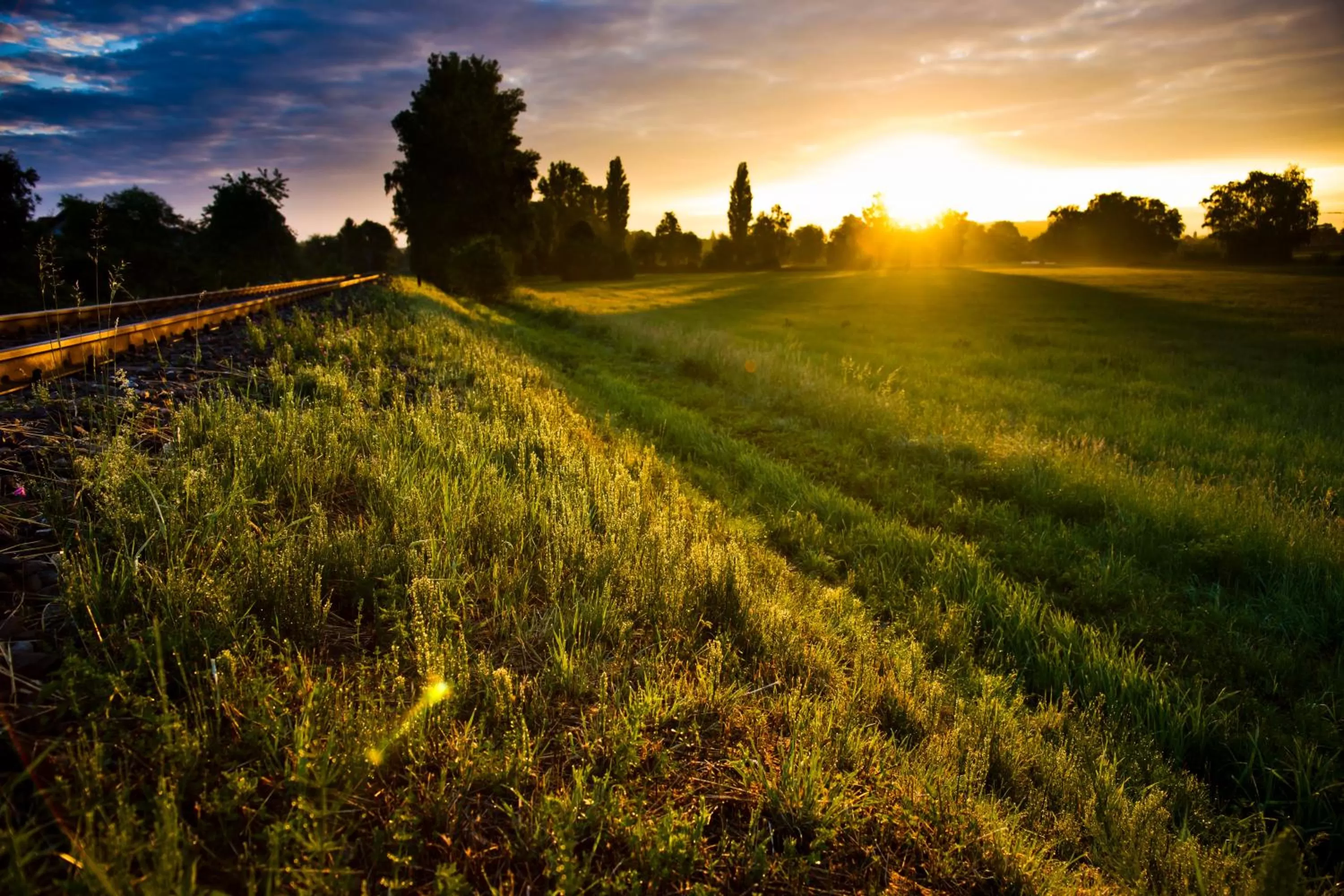Natural landscape in Hotel Rheingold