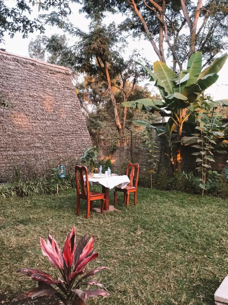 Garden in Charming Eco-Homestay near Kilimanjaro International Airport
