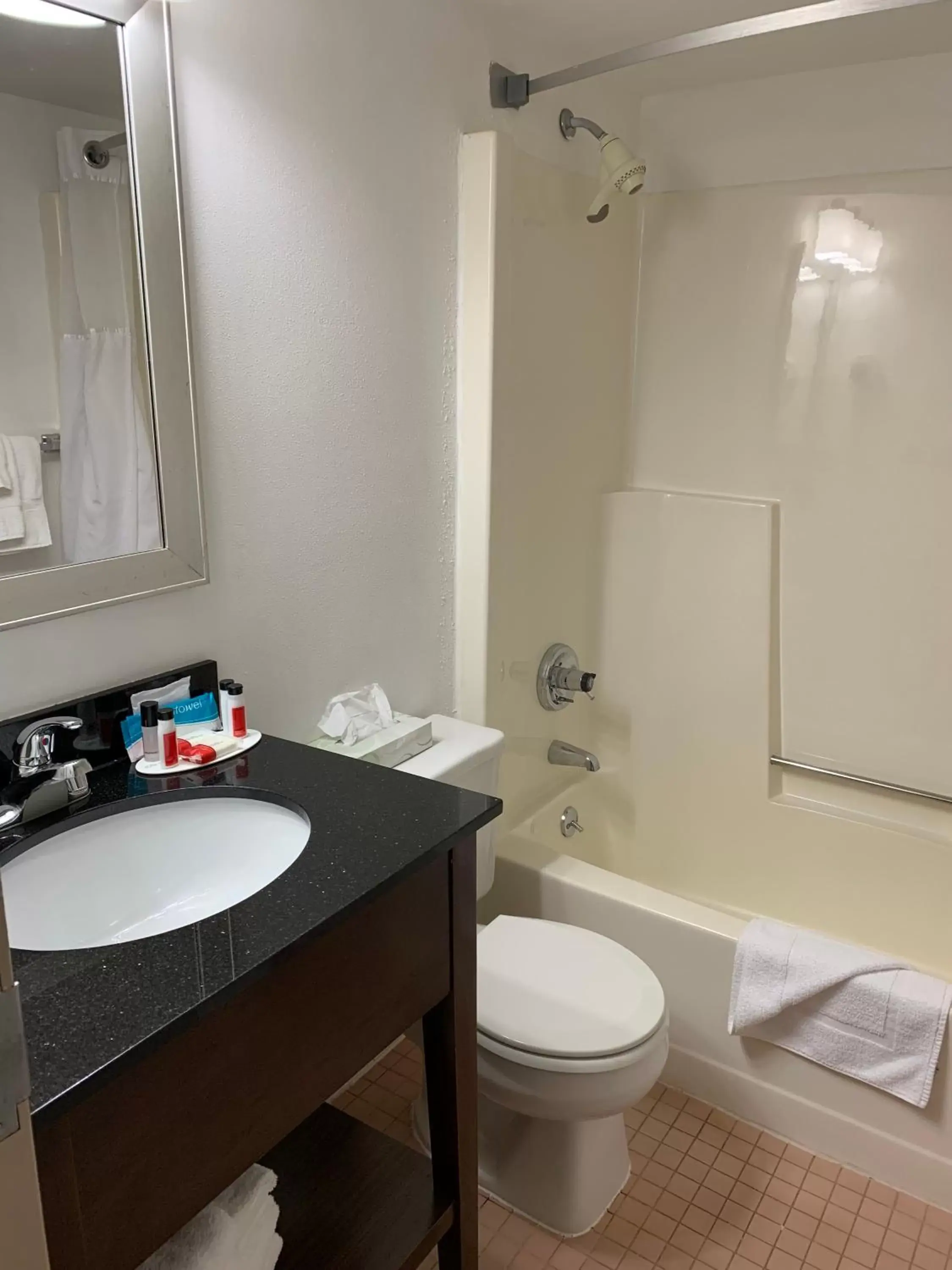 Bathroom in Ramada by Wyndham Marquette