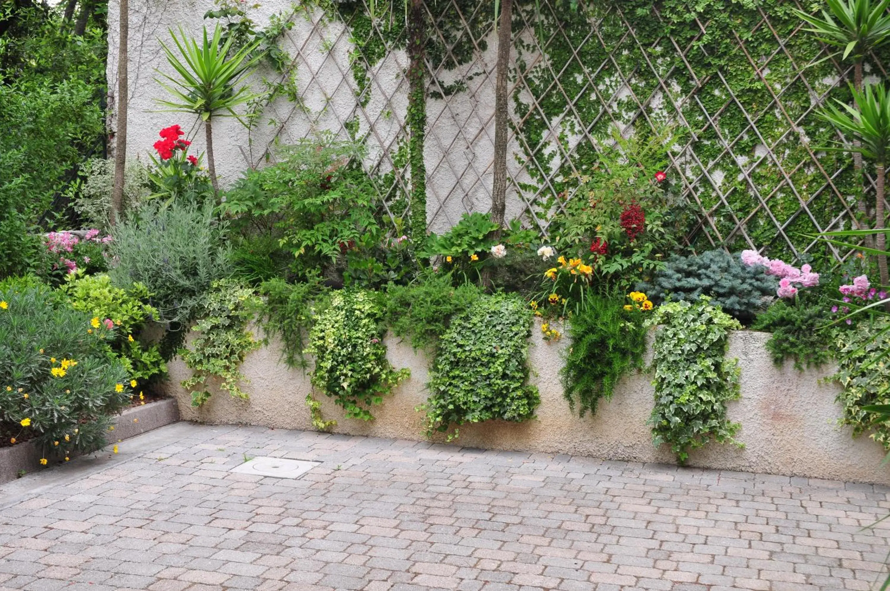 Garden in Hotel Riviera Blu