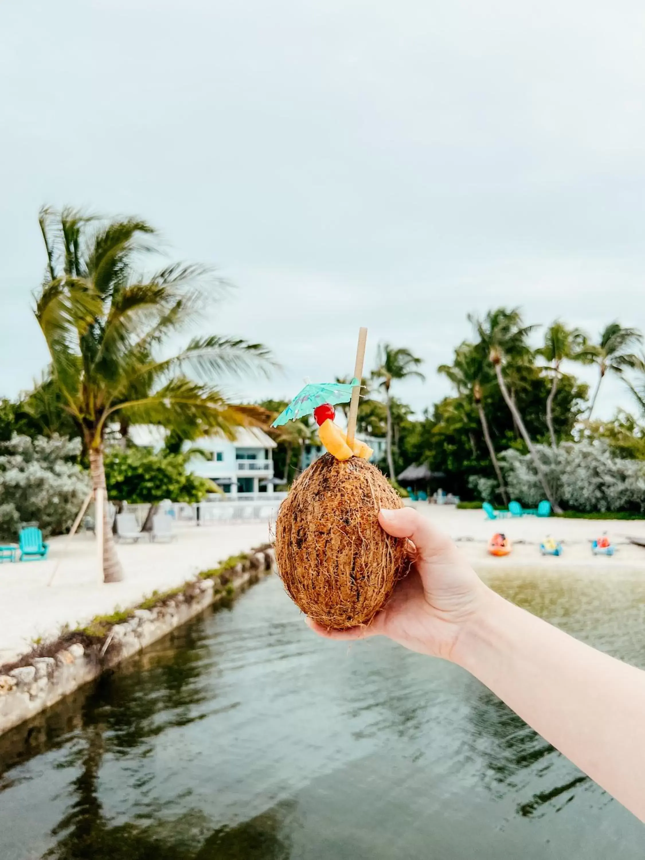 Natural landscape in Bayside Inn Key Largo