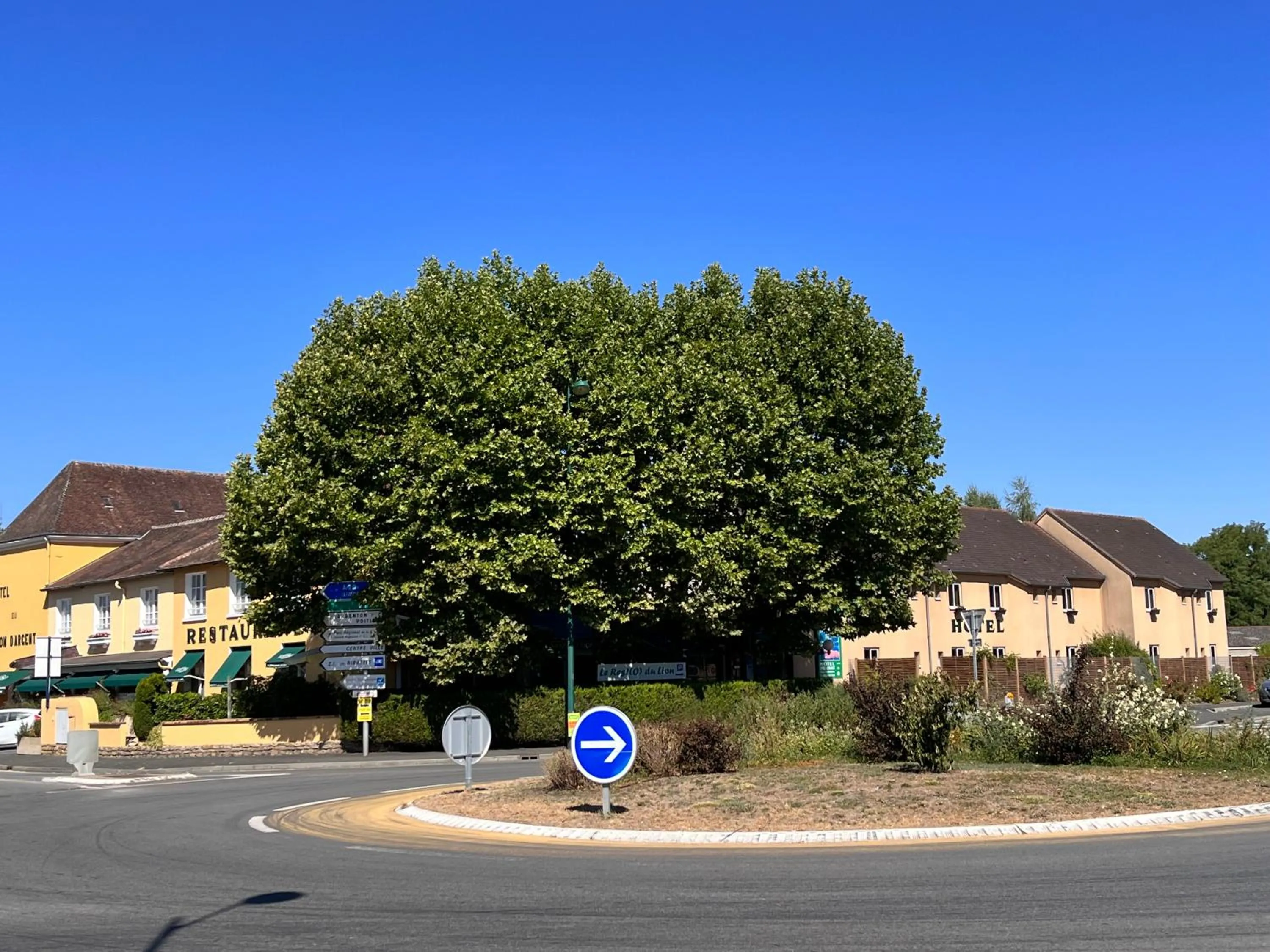 Logis Hôtel Restaurant Du Lion D'argent Et Des Tanneries