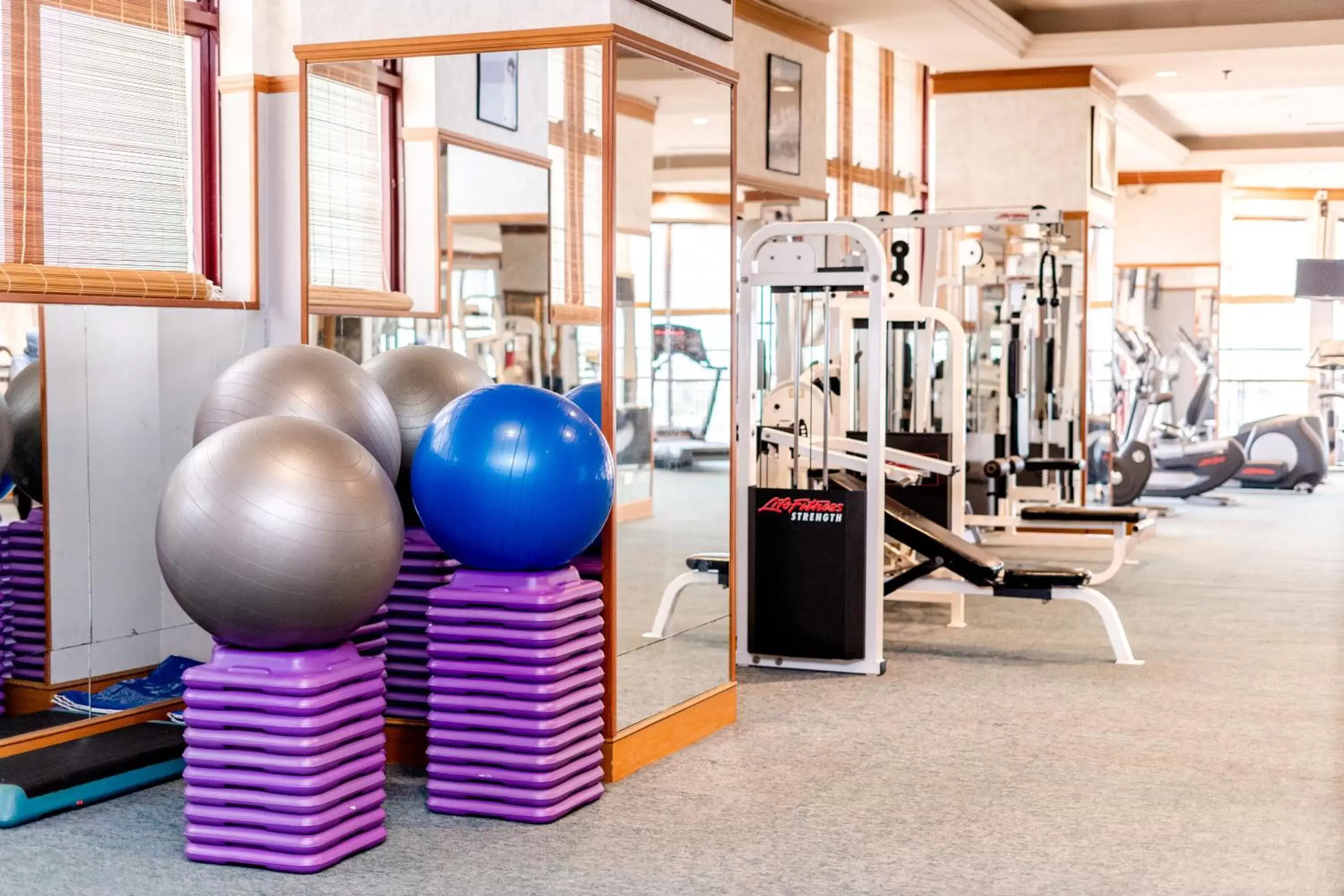 Fitness Center/Facilities in The Grand Renai