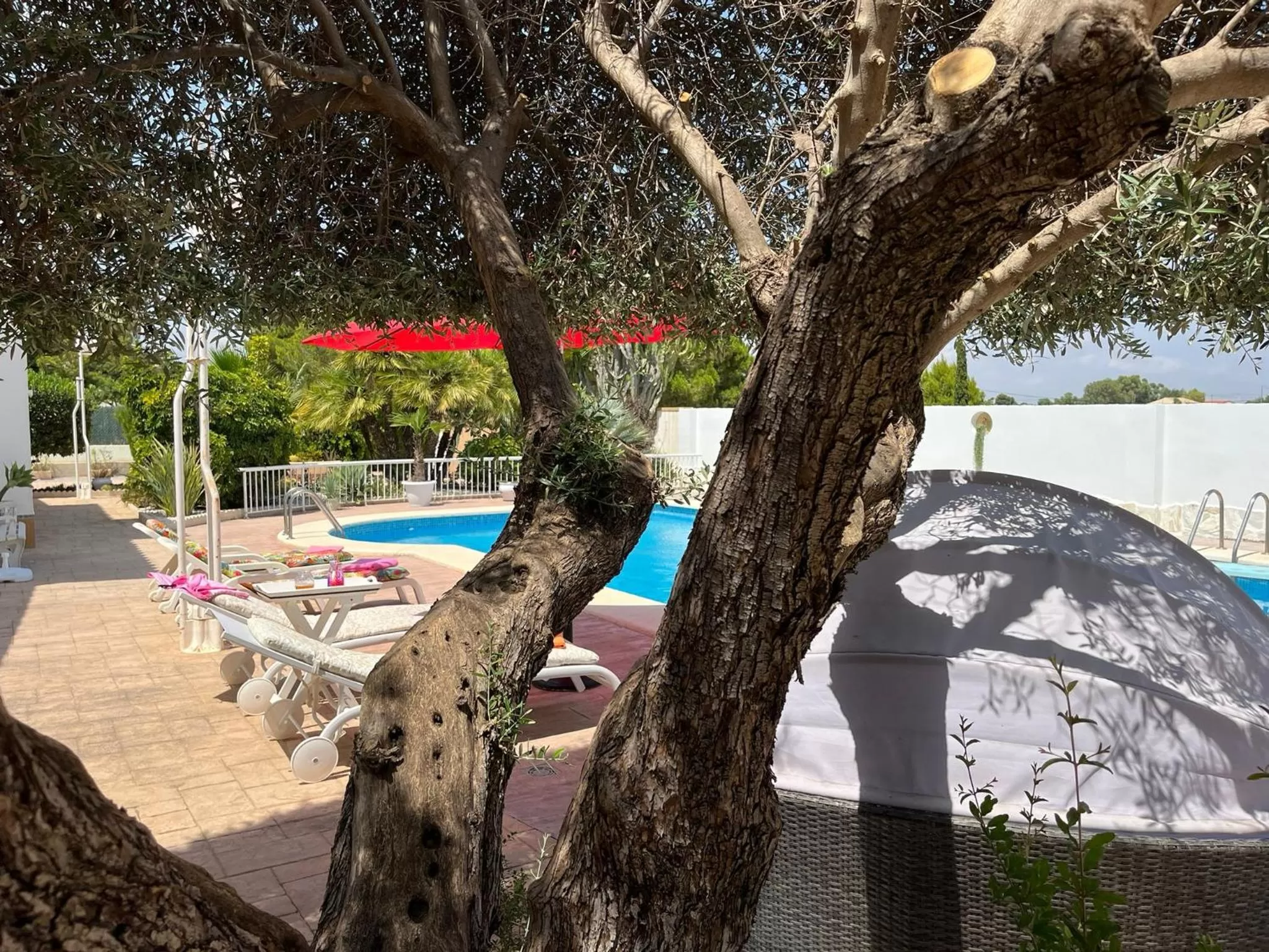 Patio, Swimming Pool in Casa Veronica