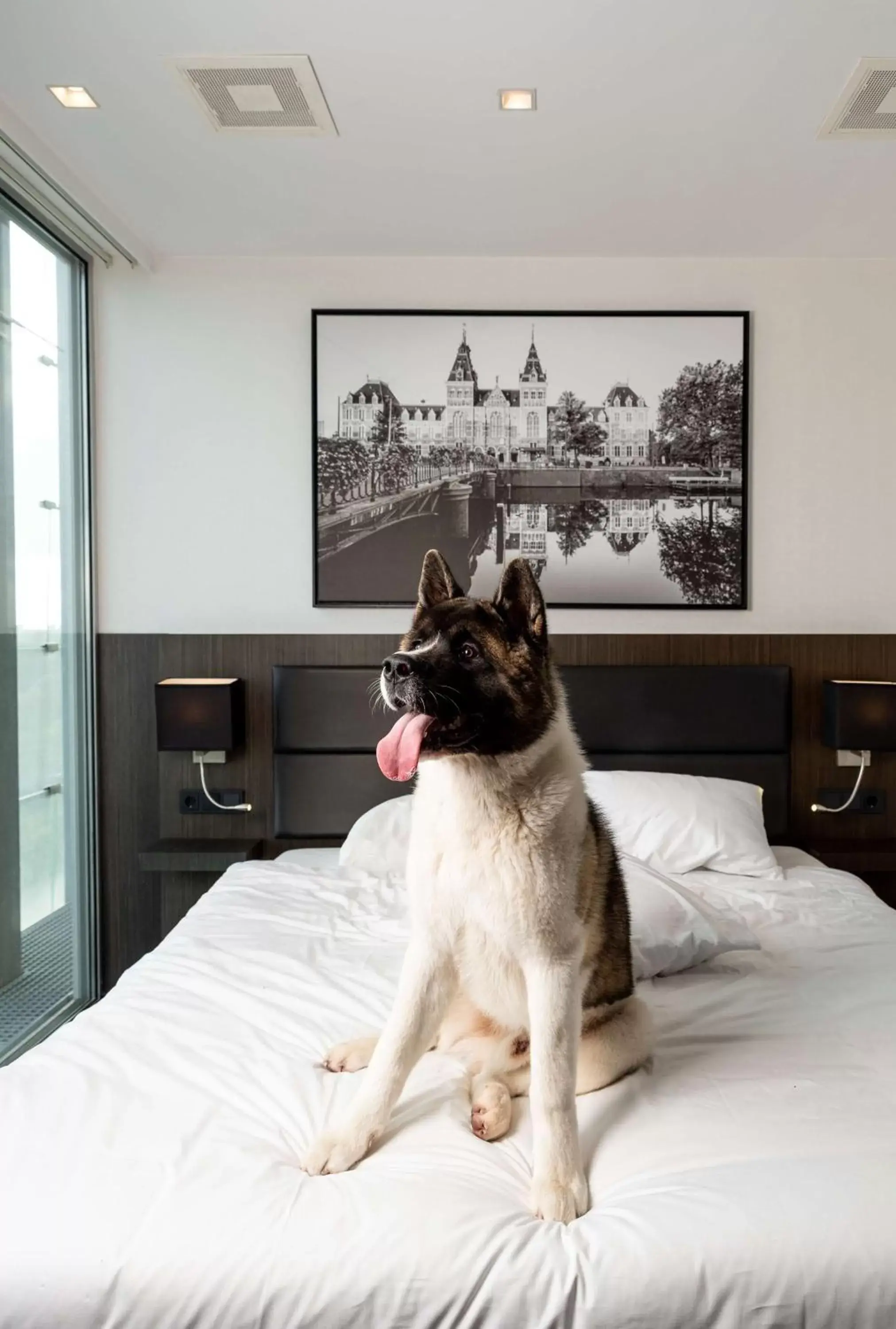 Bed, Pets in Radisson Hotel & Suites Amsterdam South