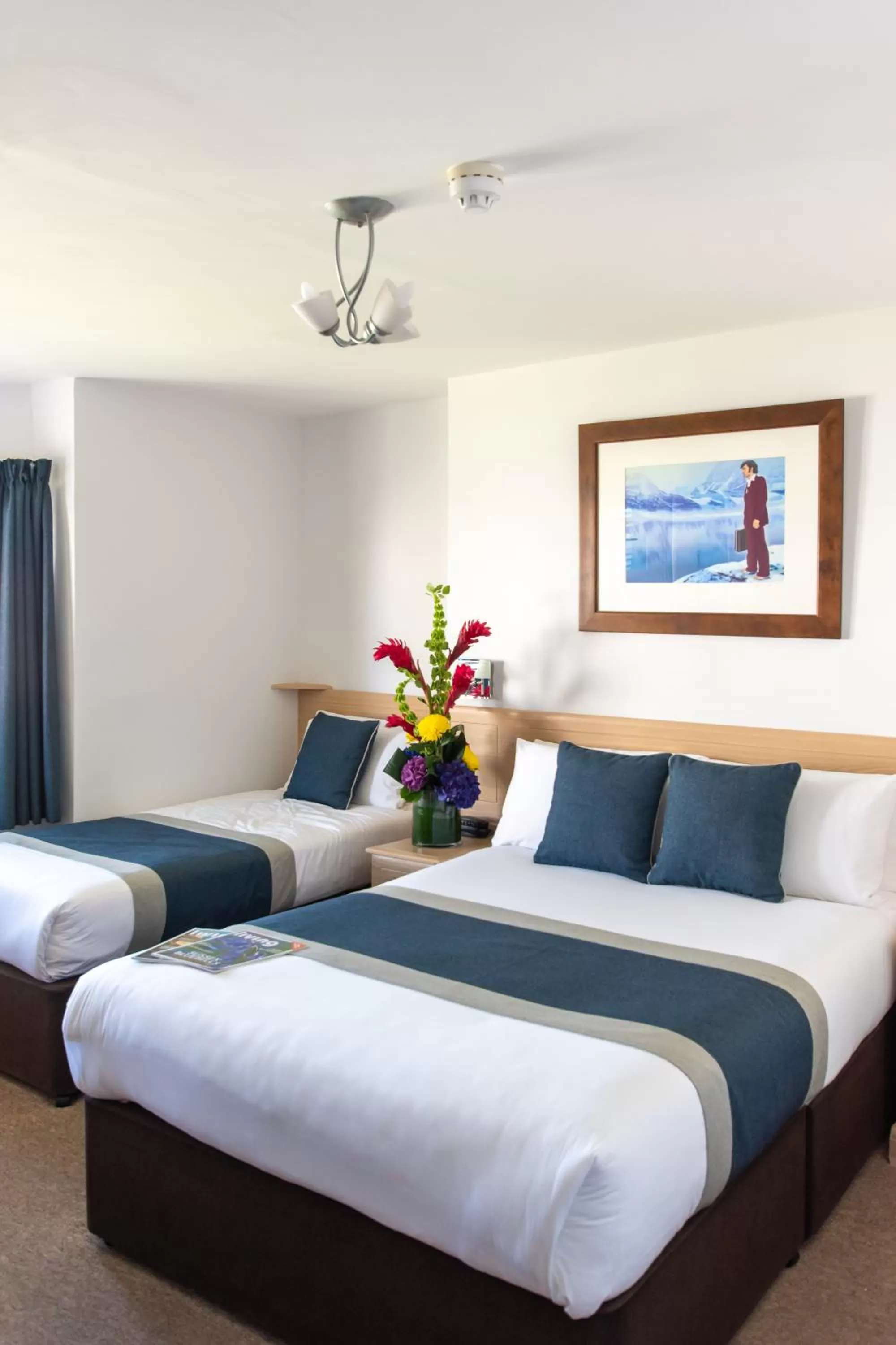 Bed in New Steine Hotel - B&B