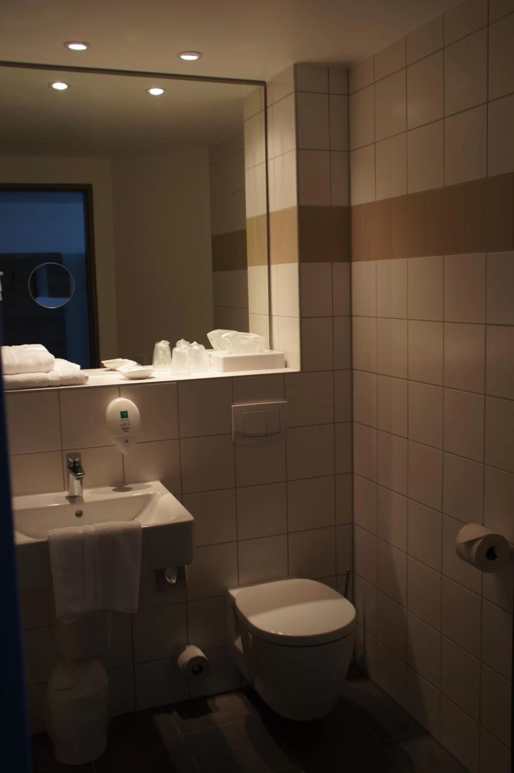 Bathroom in Euro Hotel Friedberg
