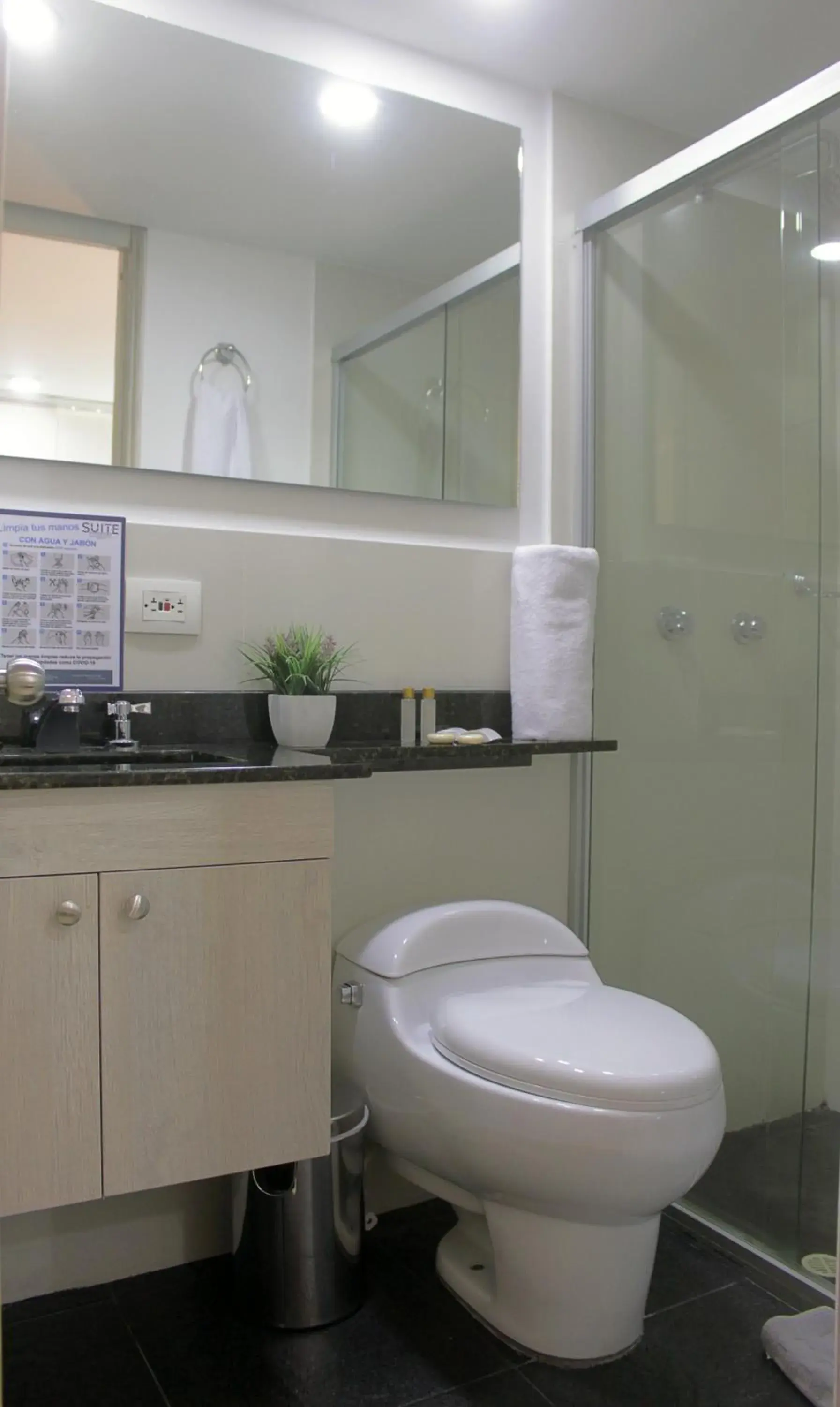 Shower, Bathroom in Hotel Suite Comfort