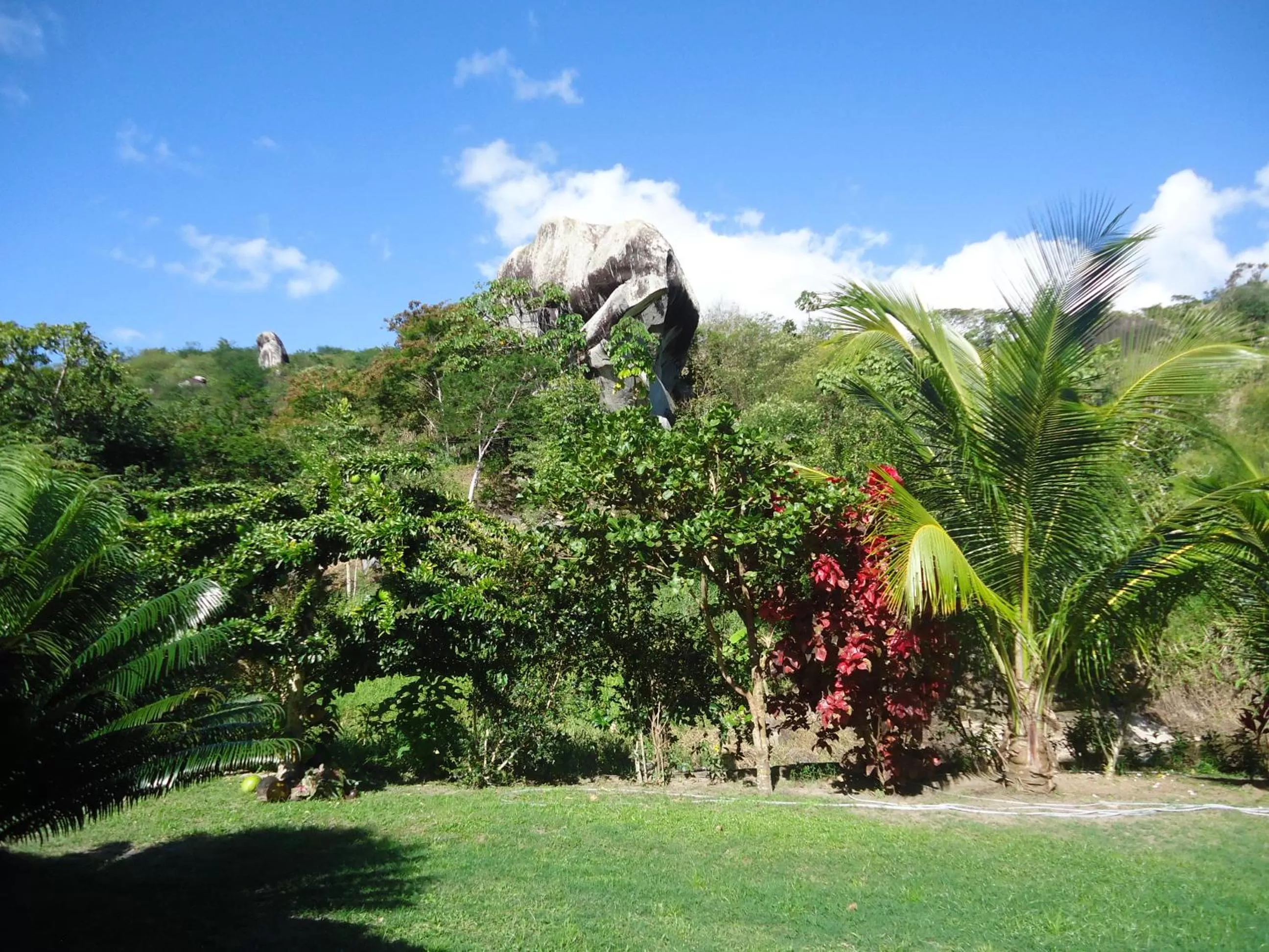 Garden in Pousada Aba da Serra