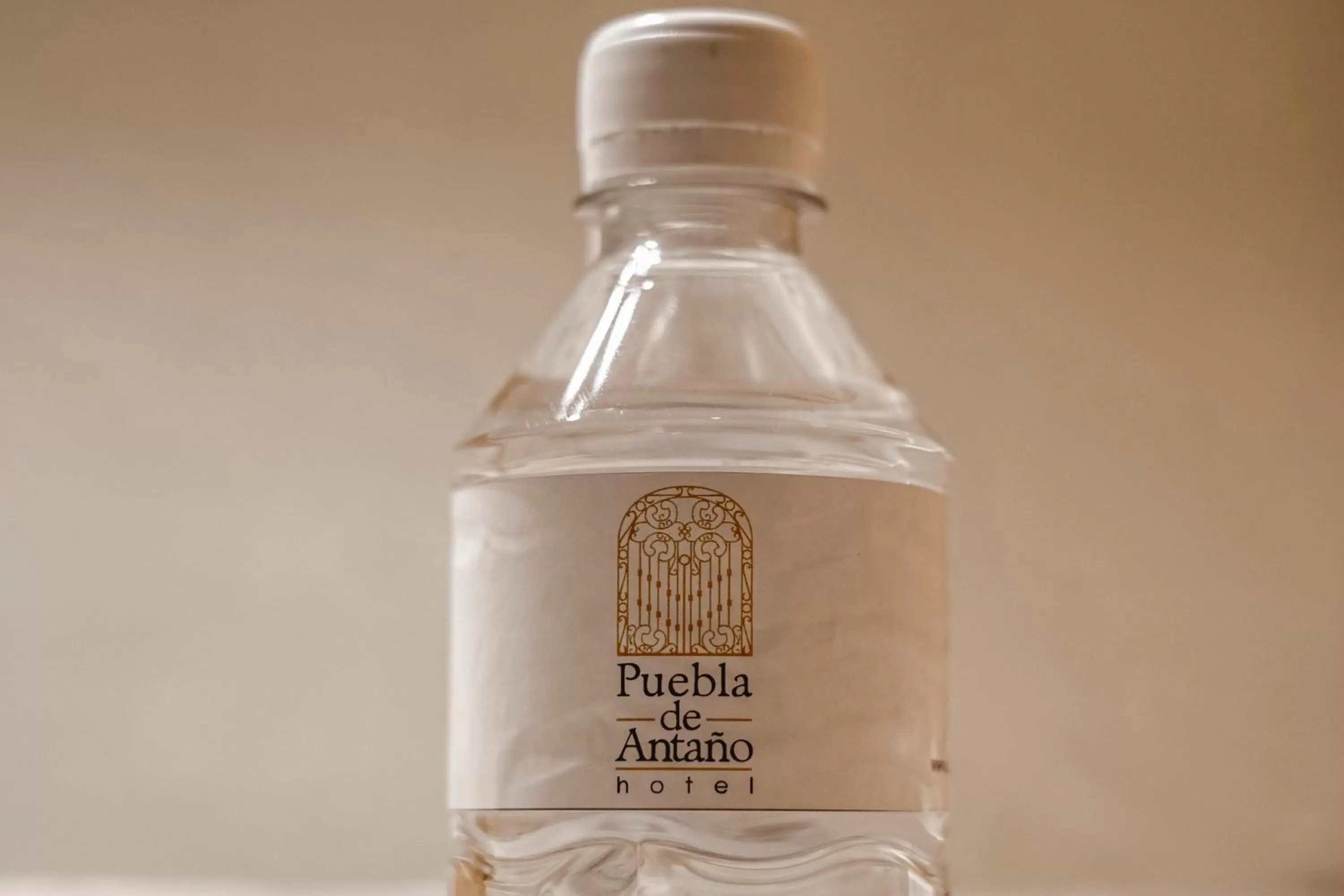 Hotel Puebla de Antaño