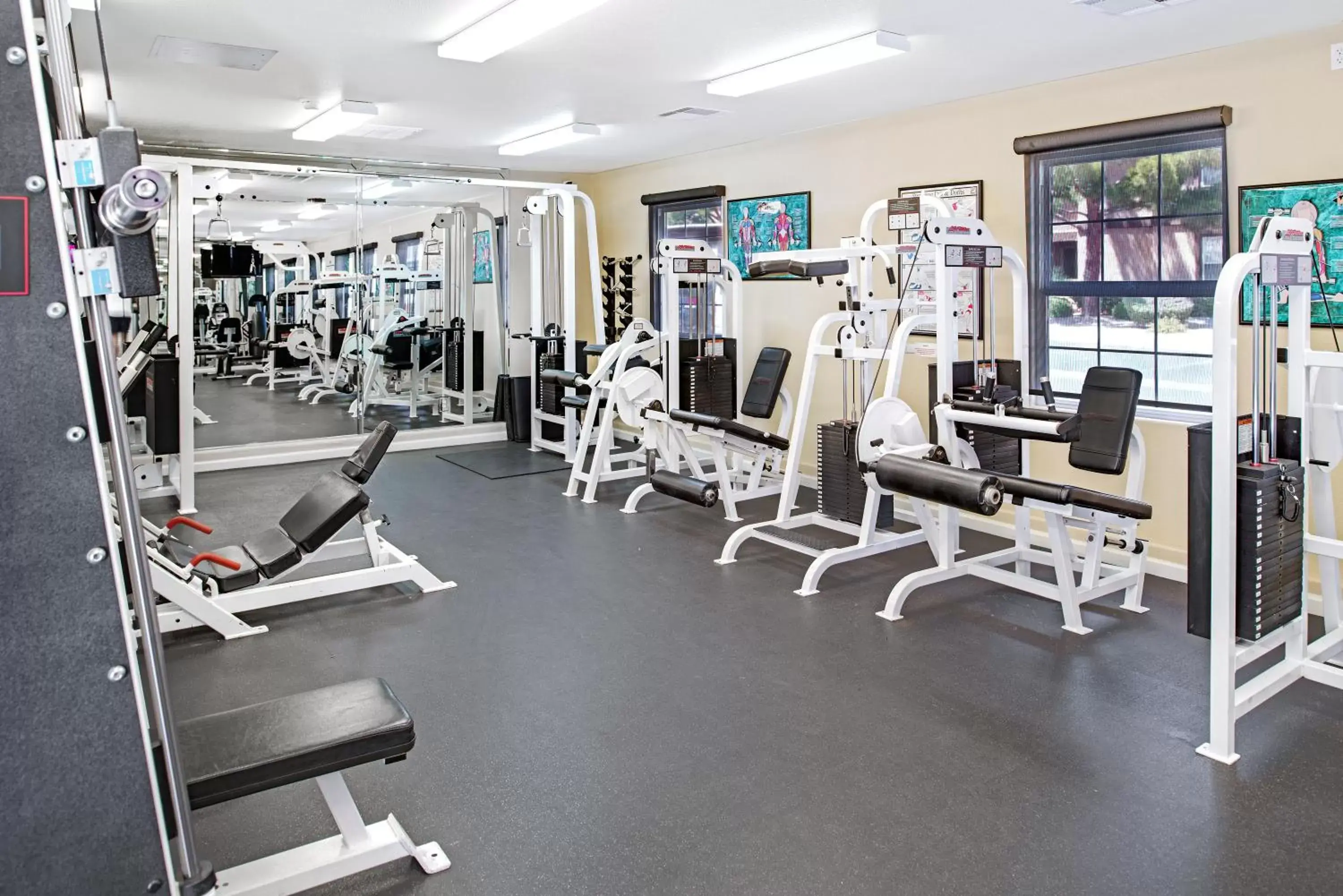 Fitness centre/facilities, Fitness Center/Facilities in Hilton Vacation Club Desert Retreat Las Vegas