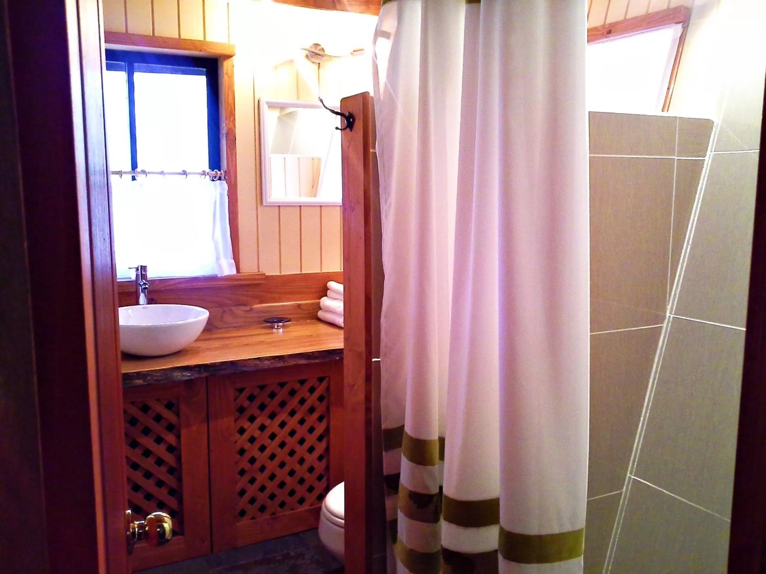 Bathroom in Hotel Salto del Carileufu