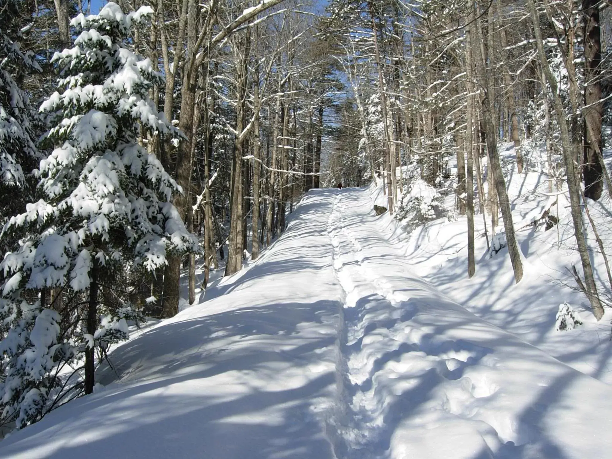 Natural landscape, Winter in Camden Maine Stay Inn