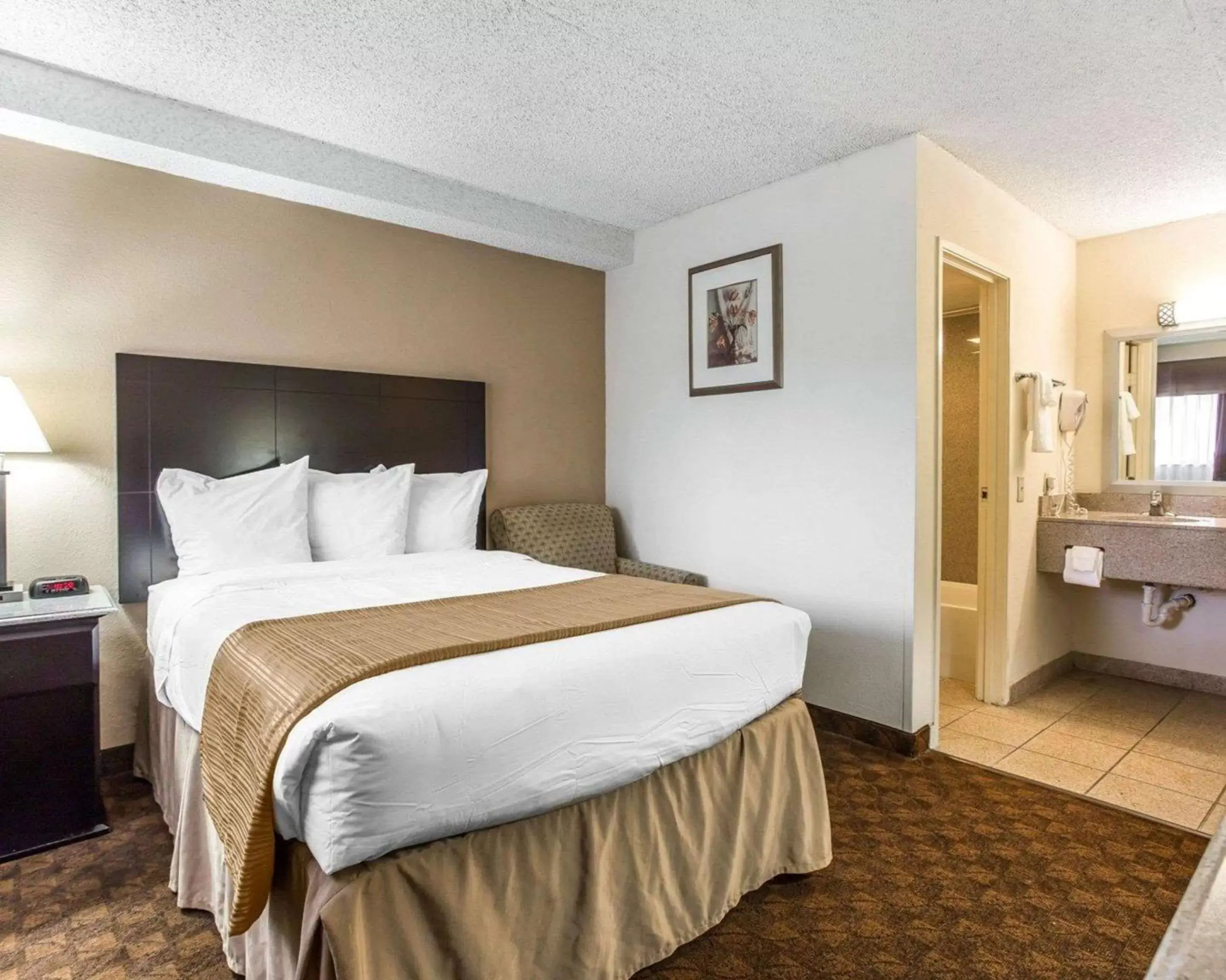 Photo of the whole room, Bed in Quality Inn & Suites Coliseum