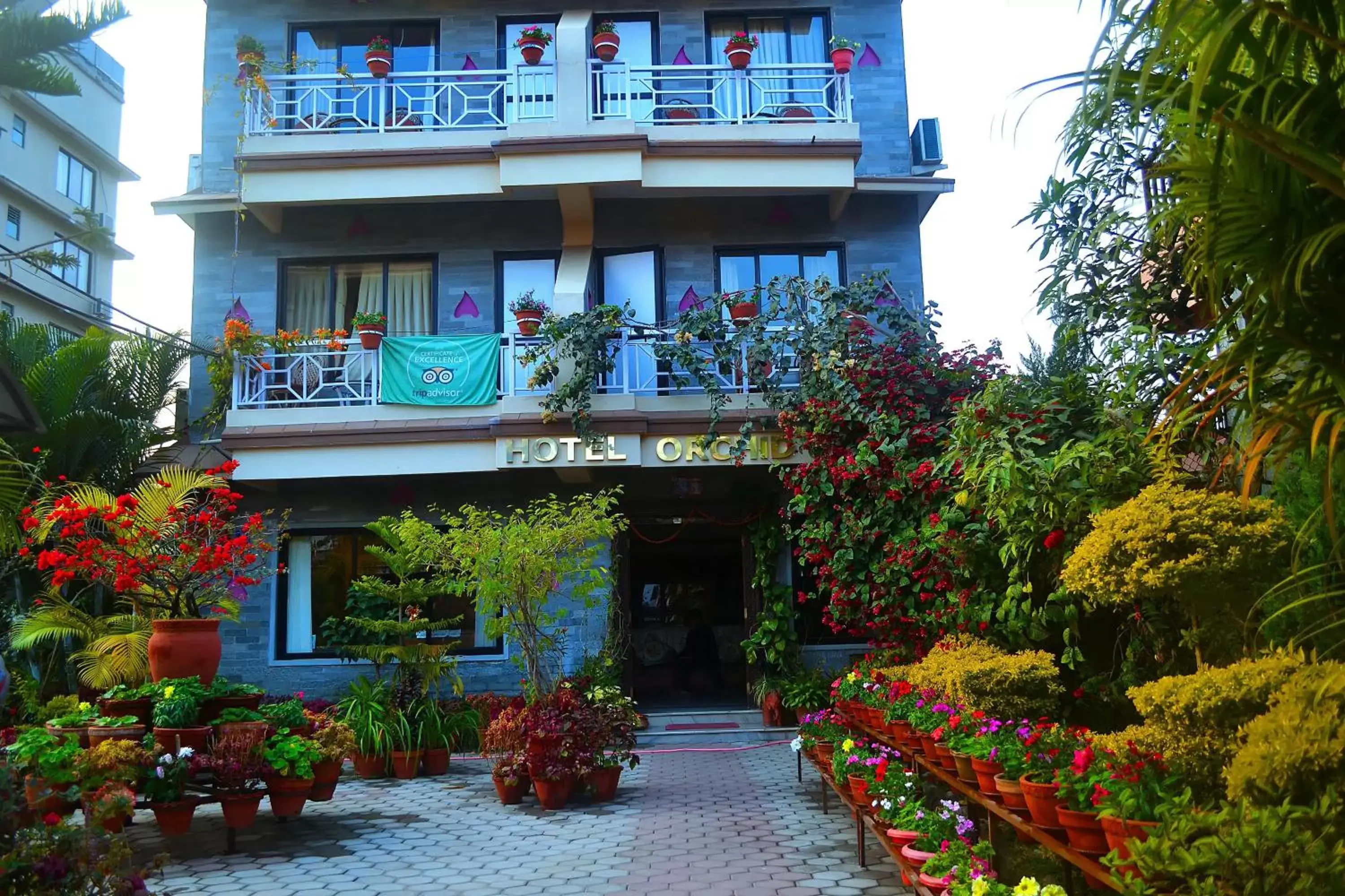 Facade/entrance, Property Building in Hotel Orchid