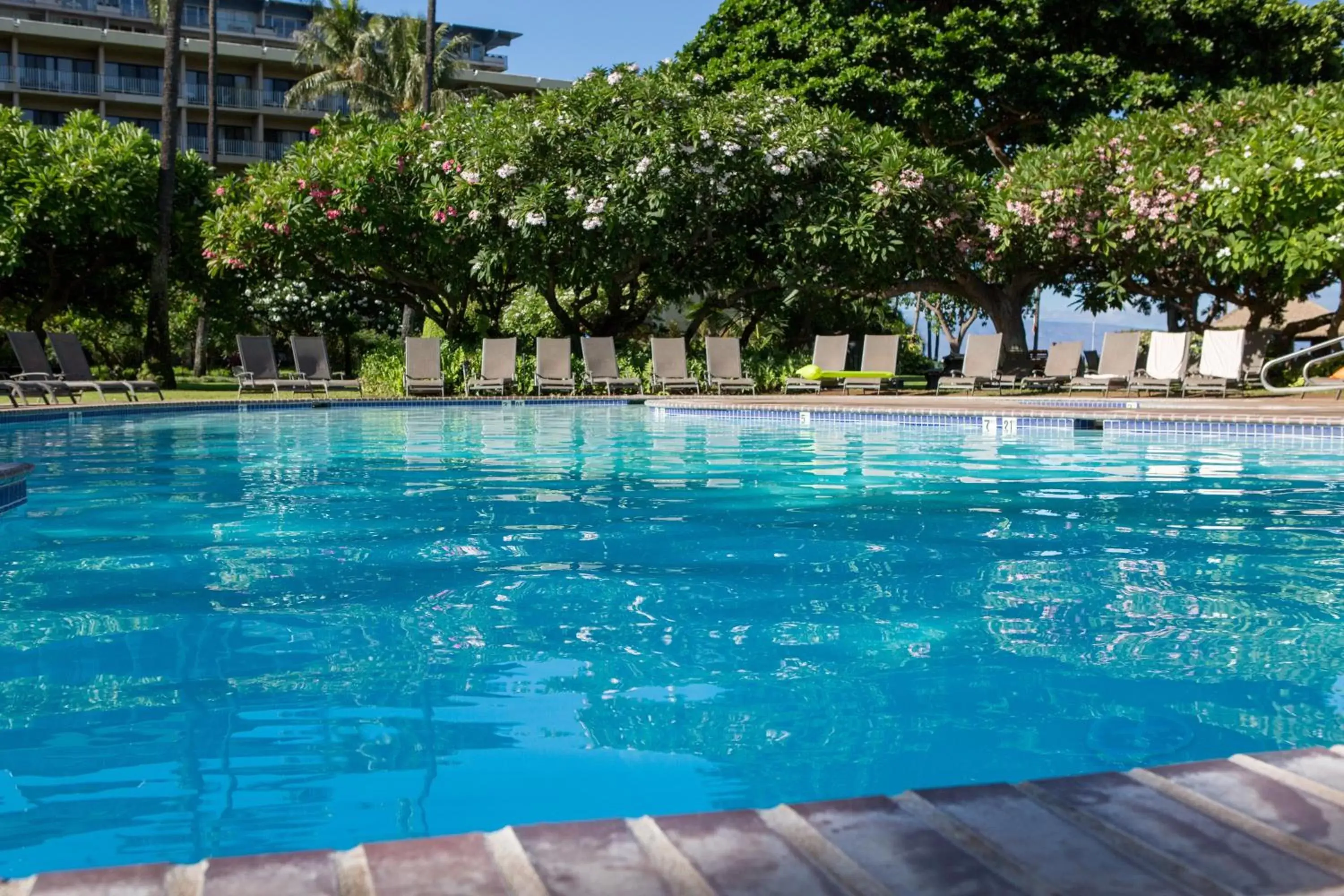 Day, Swimming Pool in OUTRIGGER Kāʻanapali Beach Resort