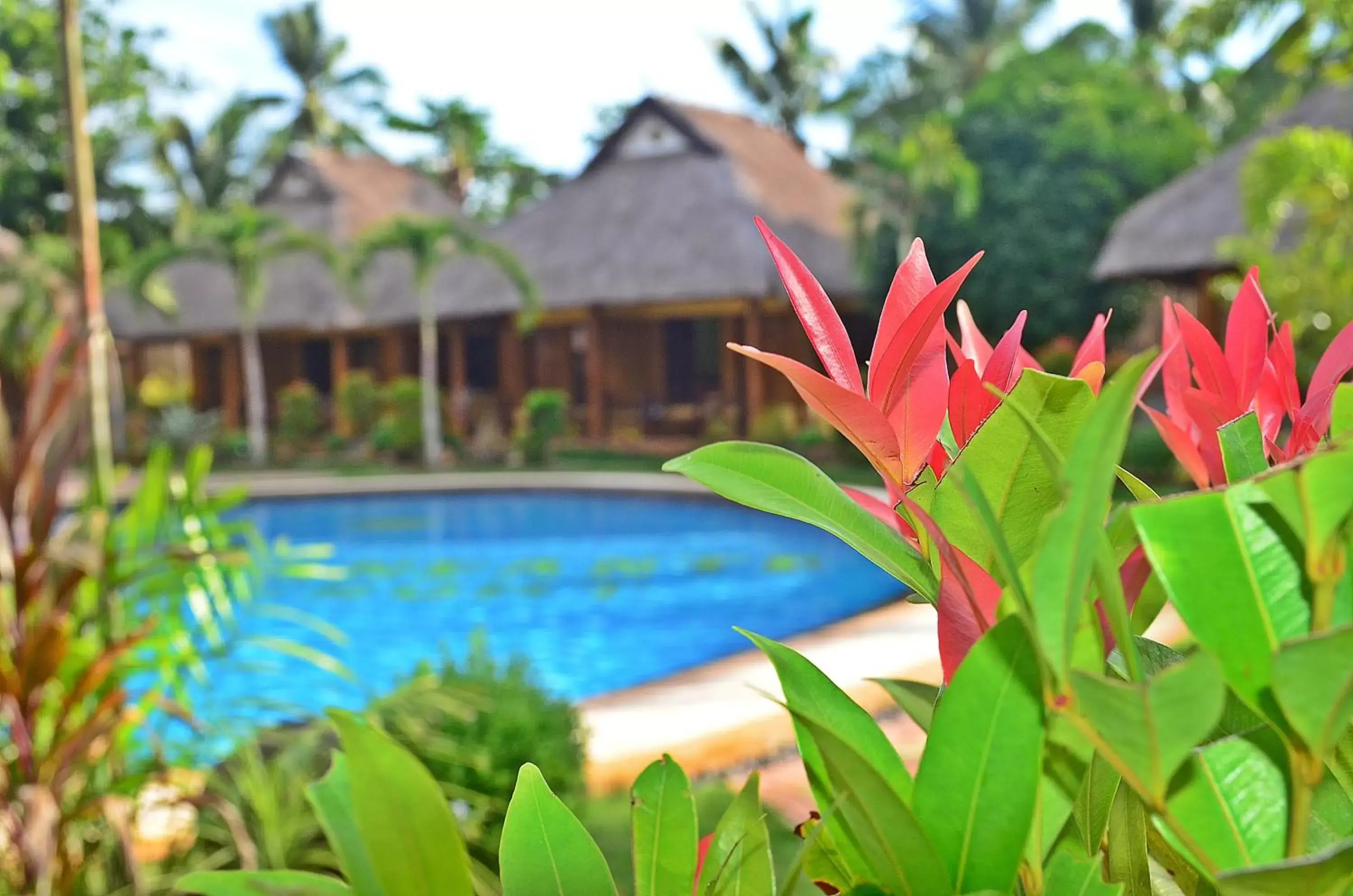 Day, Swimming Pool in Veraneante Resort