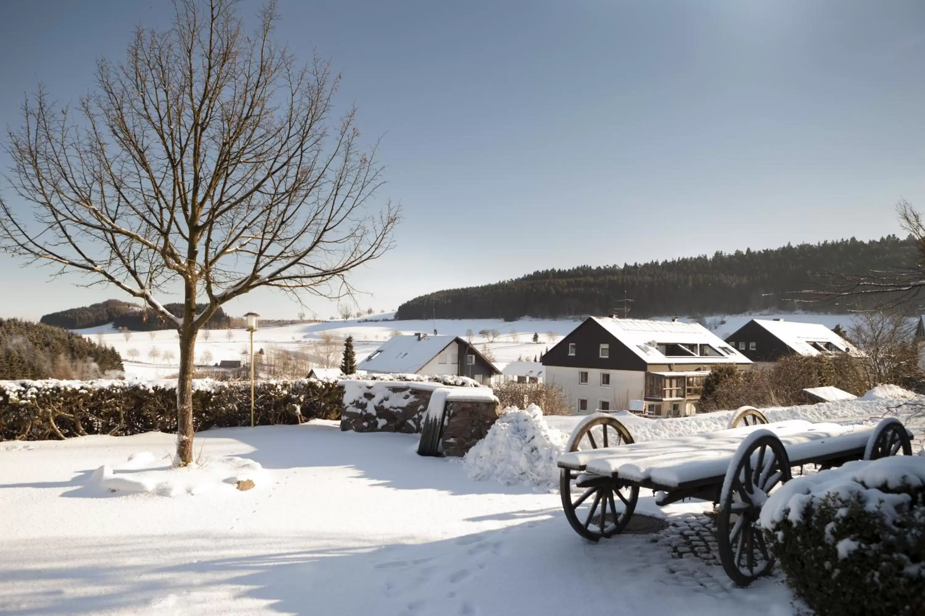 Garden view in H+ Hotel Willingen