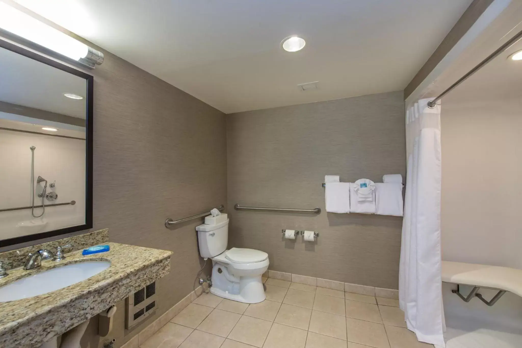 Photo of the whole room, Bathroom in Holiday Inn Express Hotel & Suites Auburn, an IHG Hotel