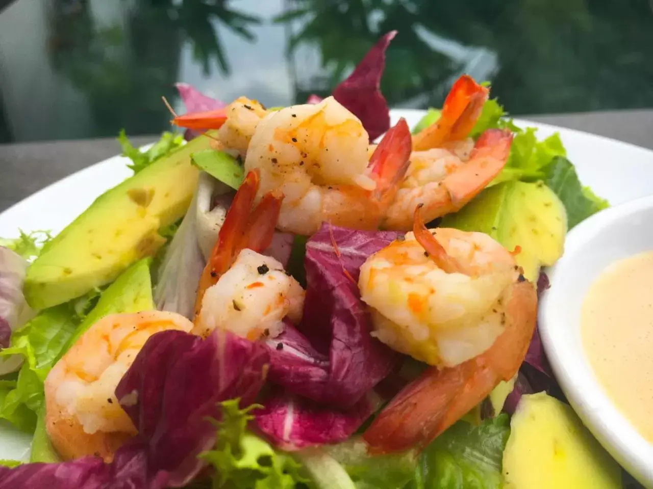 Food in The Blanc Residence Food in The Blanc Residence