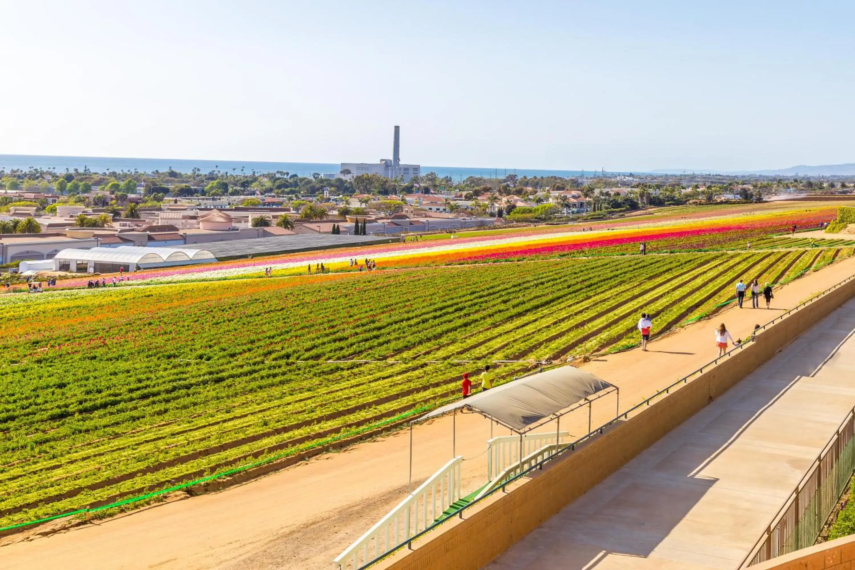 View (from property/room) in Grand Pacific Palisades Resort View (from property/room) in Grand Pacific Palisades Resort