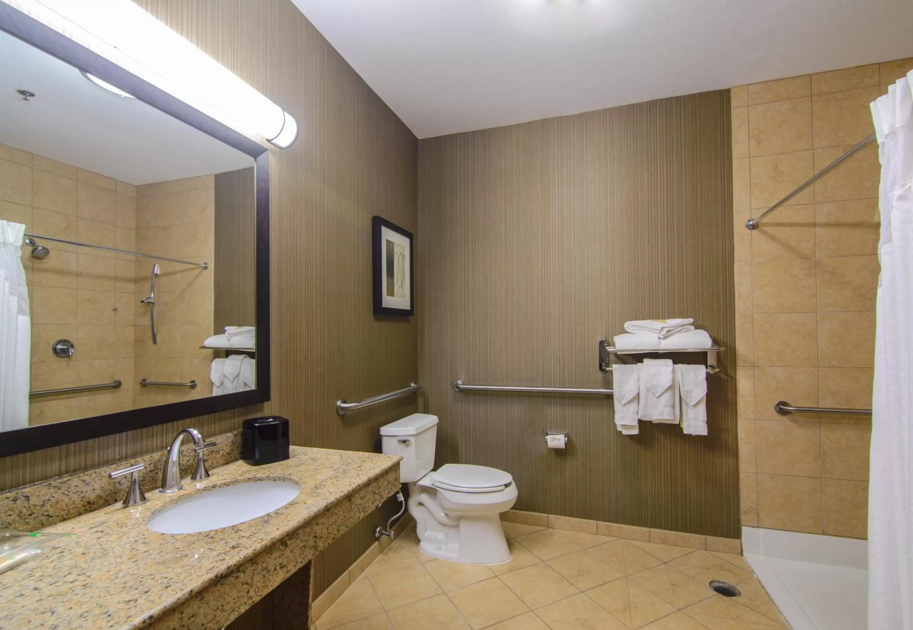 Bathroom in Holiday Inn Arlington Northeast by IHG
