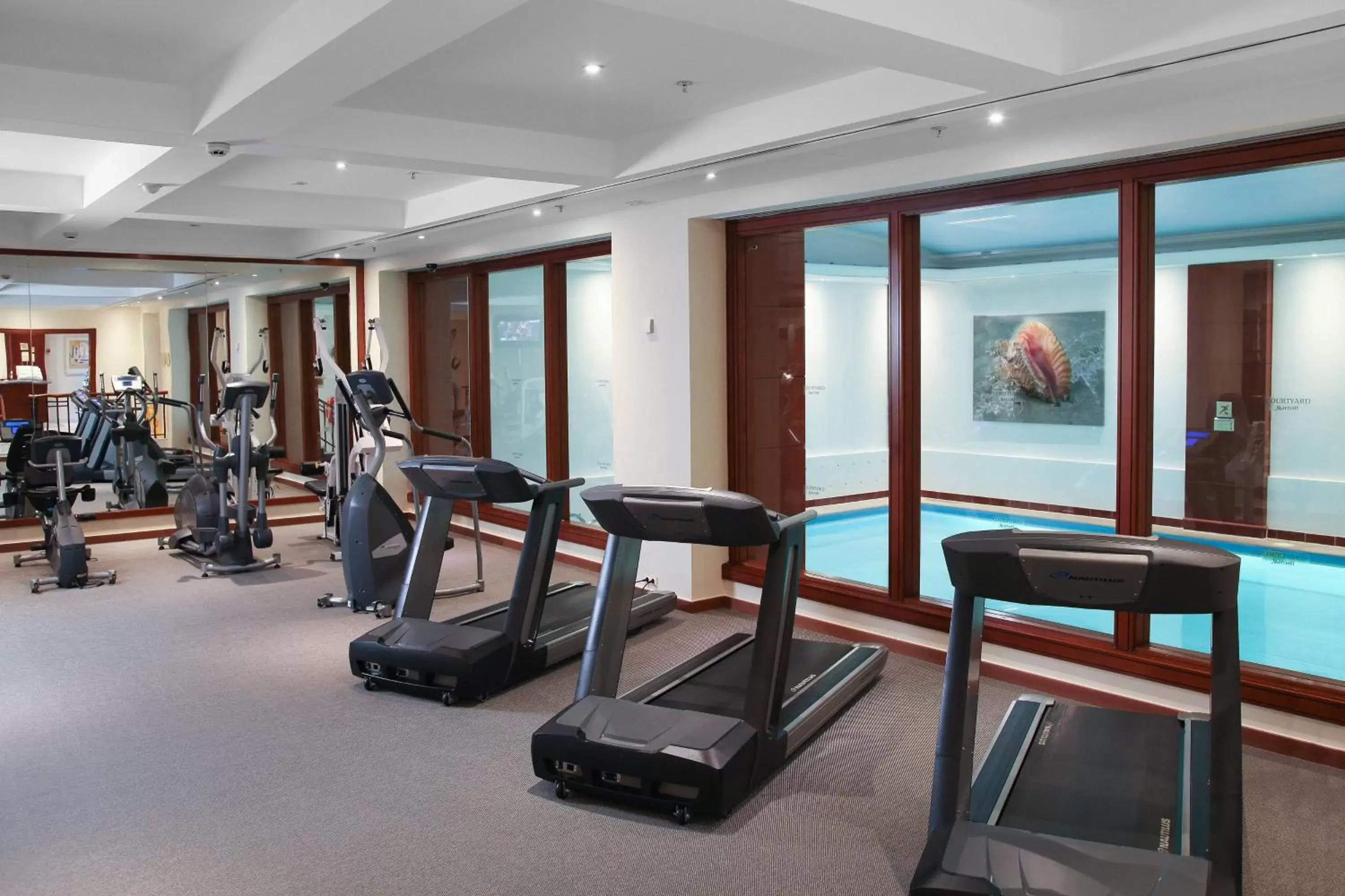 Fitness centre/facilities, Fitness Center/Facilities in Courtyard by Marriott Tbilisi
