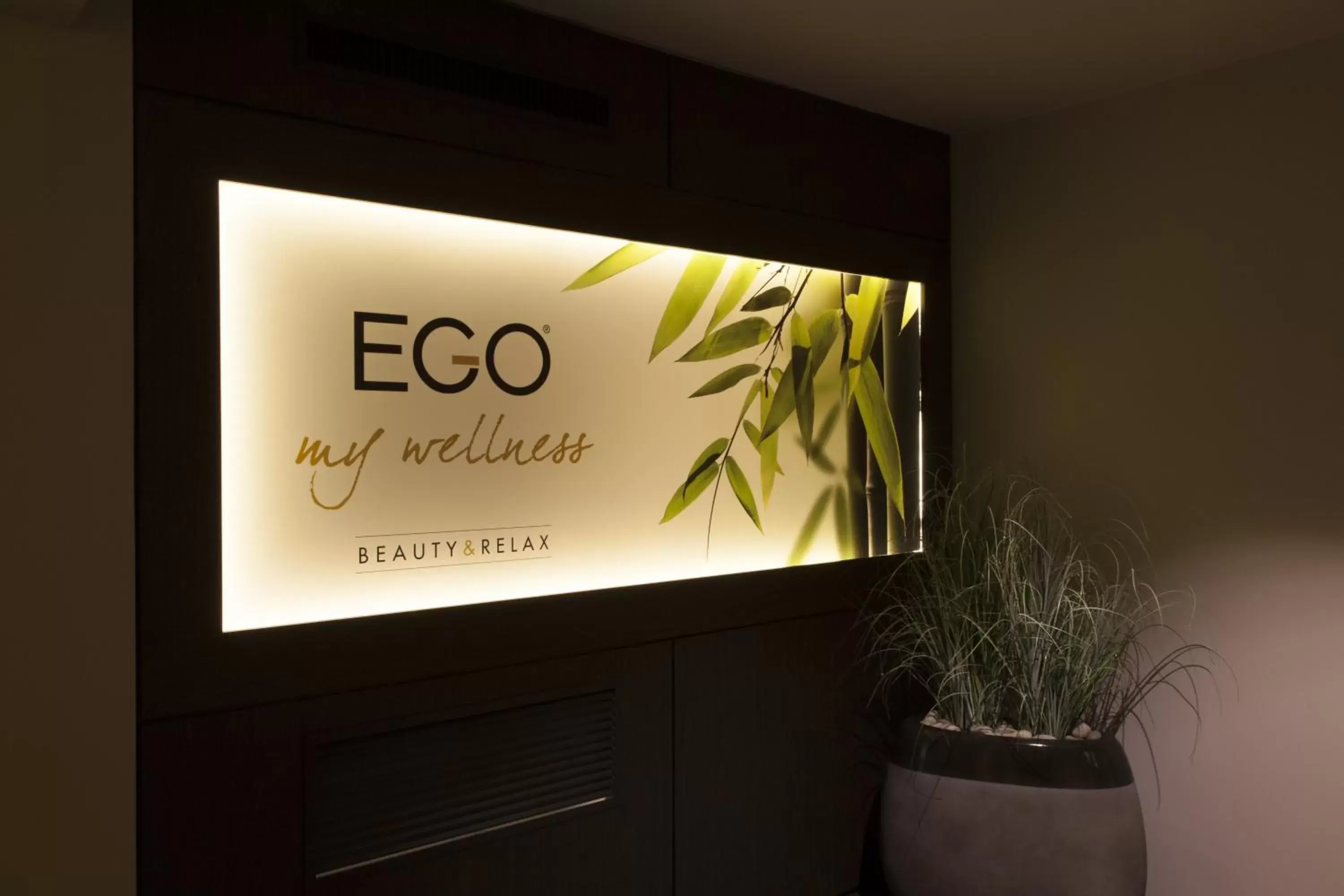 Spa and wellness centre/facilities in Ego Hotel