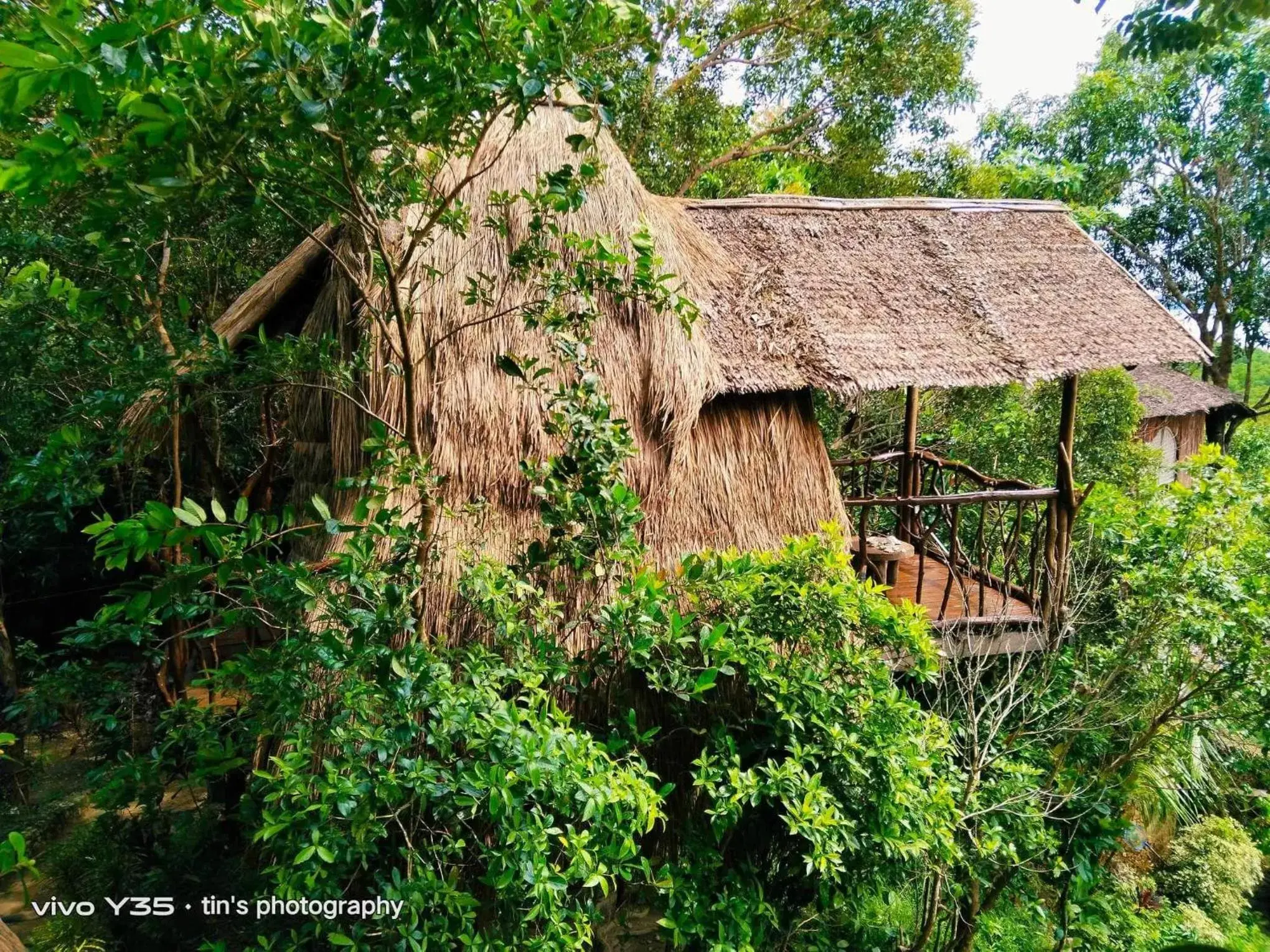 Property Building in Sanctuaria Treehouses Busuanga