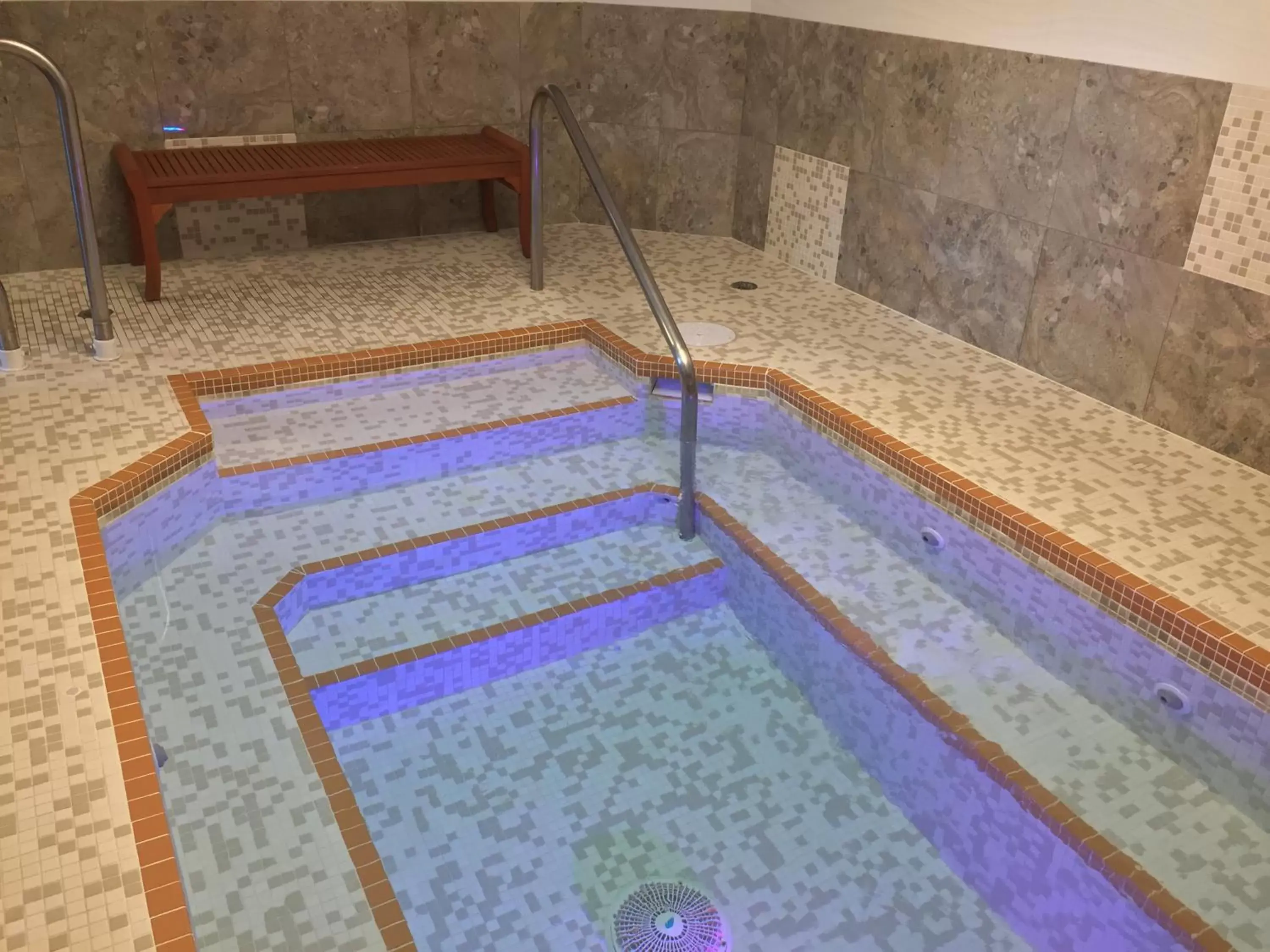 Hot Tub, Swimming Pool in Best Western PLUS Inner Harbour Hotel