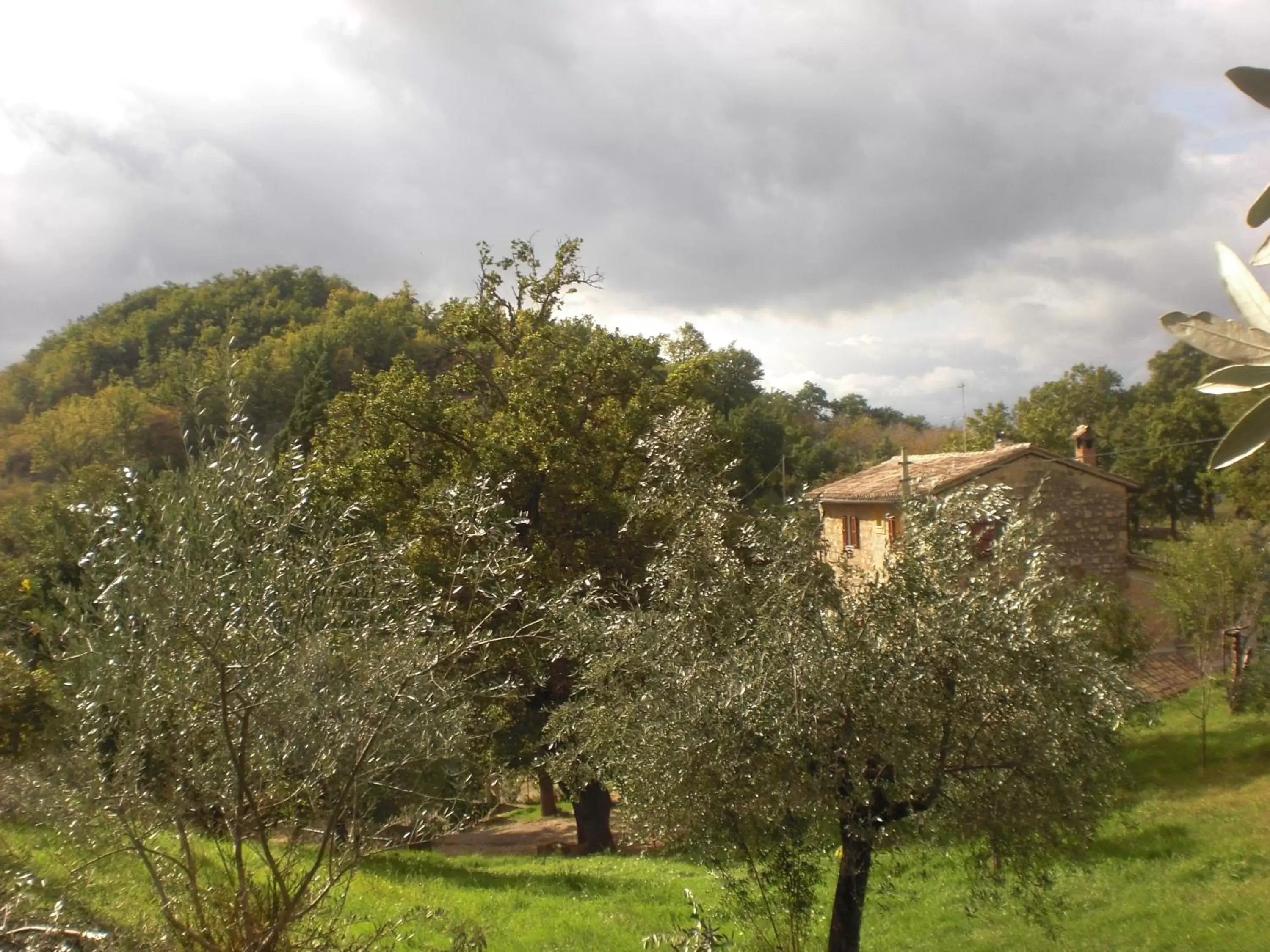 Mountain view in B&B Il Sentiero nel Bosco