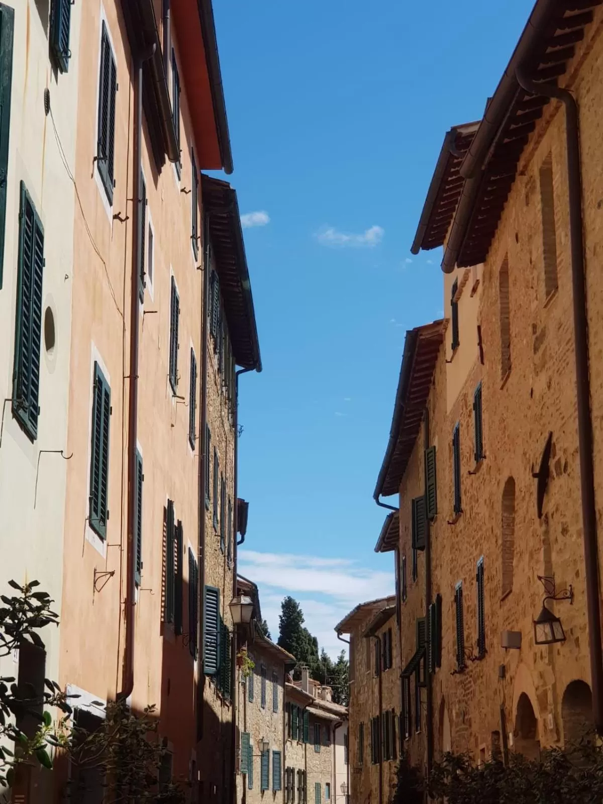 Neighbourhood in Palazzetto del Pittore in San Quirico d'Orcia