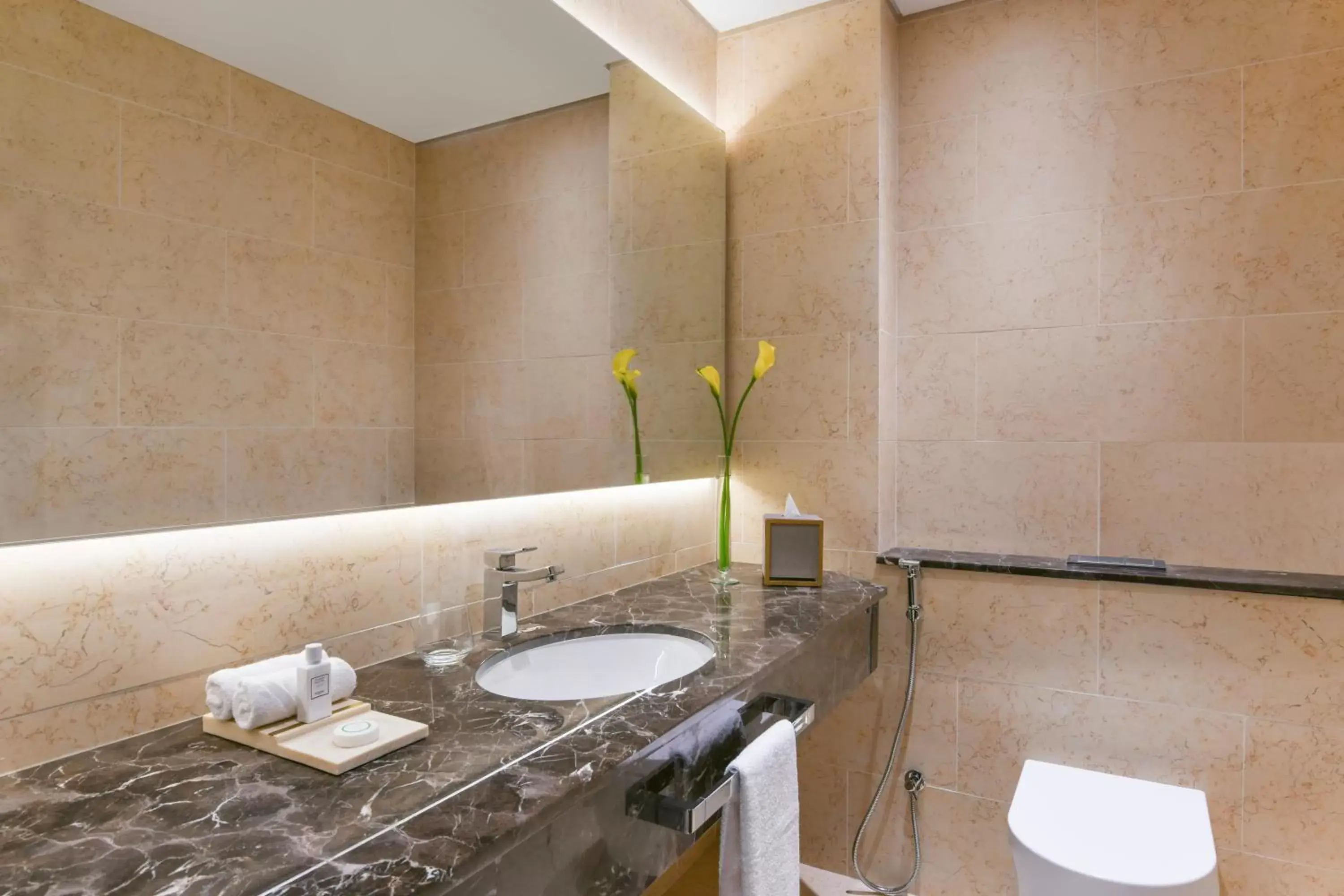 Toilet, Bathroom in Sofitel Dubai The Obelisk