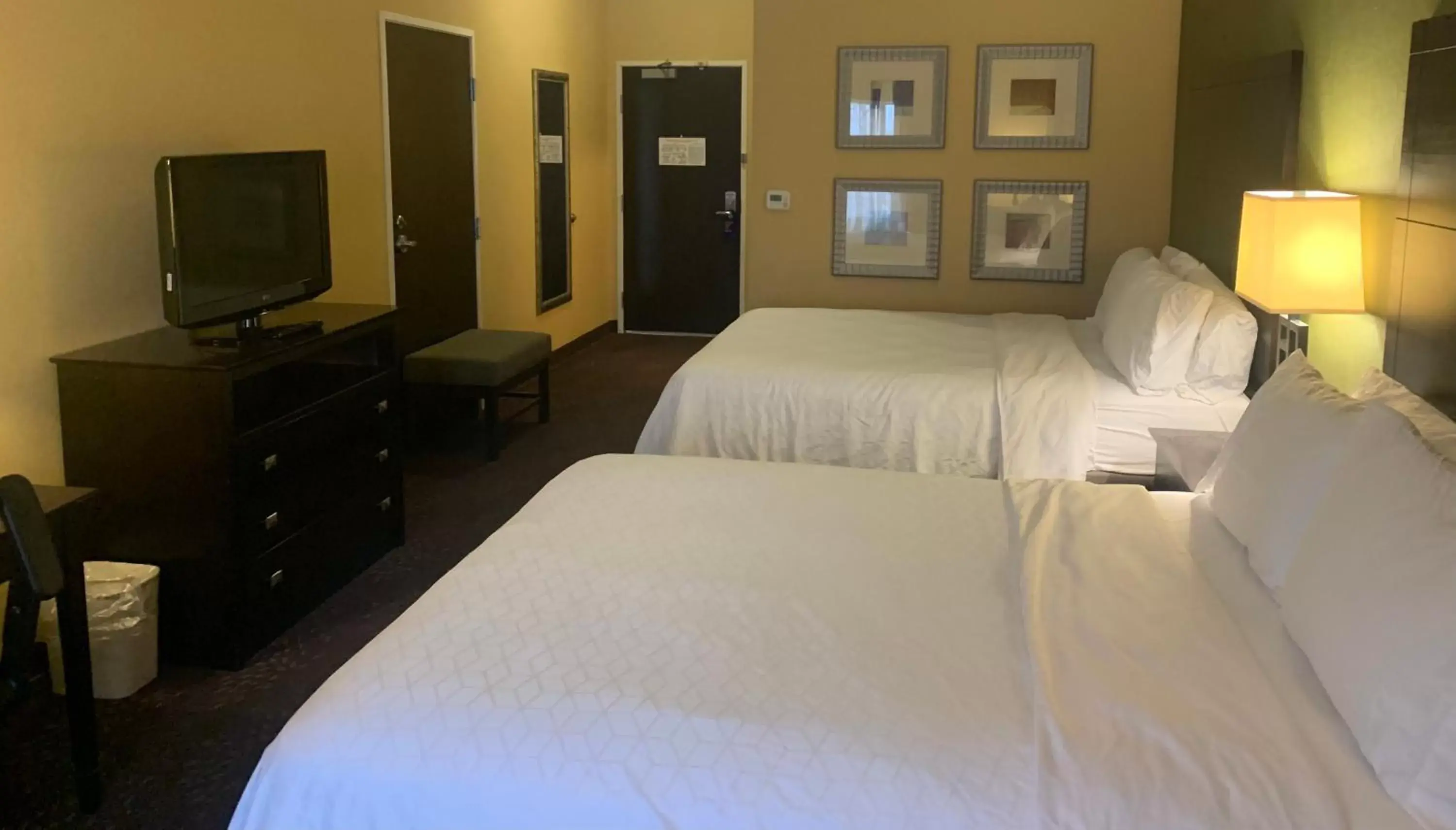 Communal lounge/ TV room, Bed in Holiday Inn Express Hotel & Suites Lansing-Dimondale, an IHG Hotel