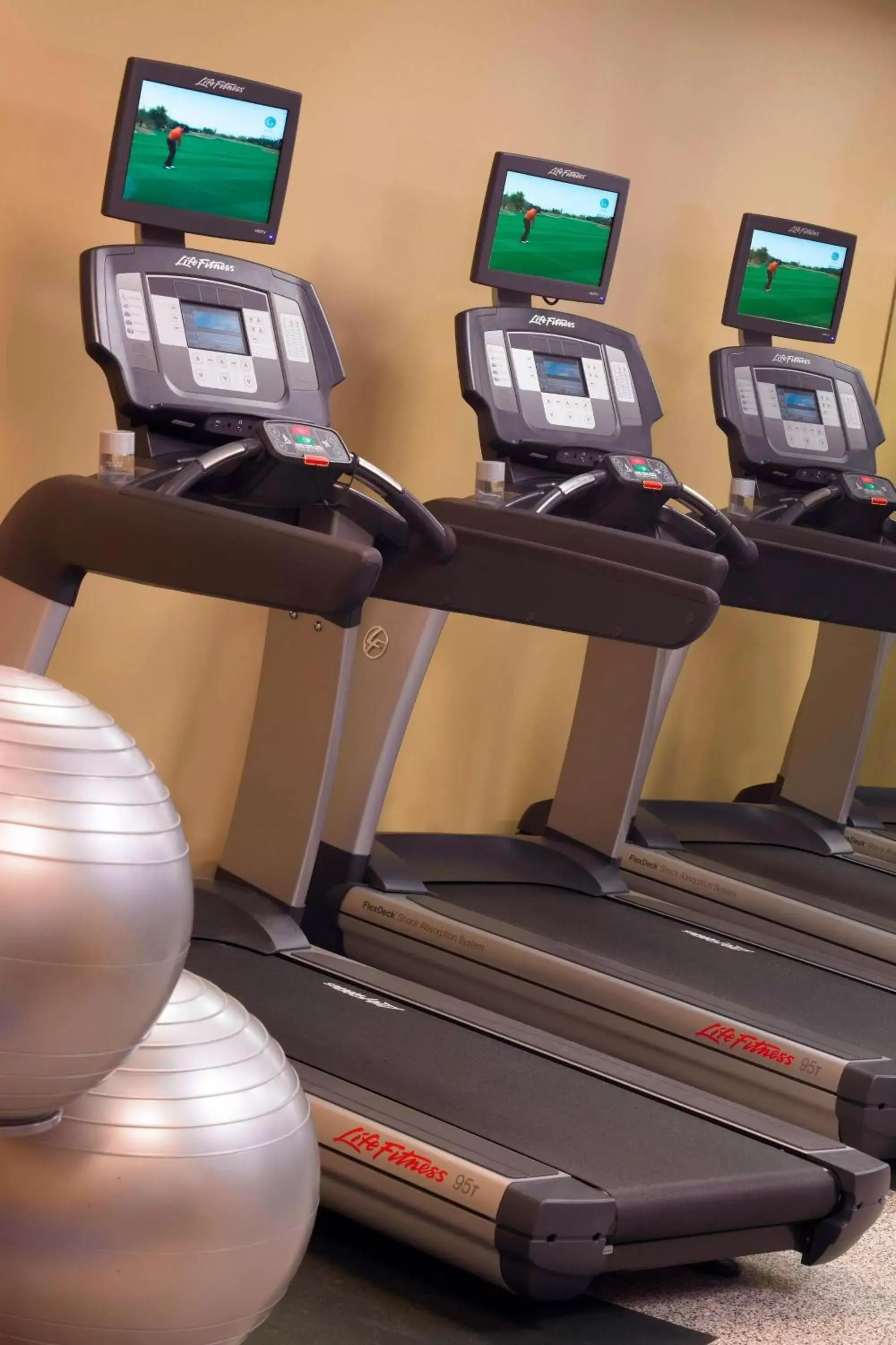 Fitness centre/facilities, Fitness Center/Facilities in Hampton Inn & Suites Downers Grove Chicago