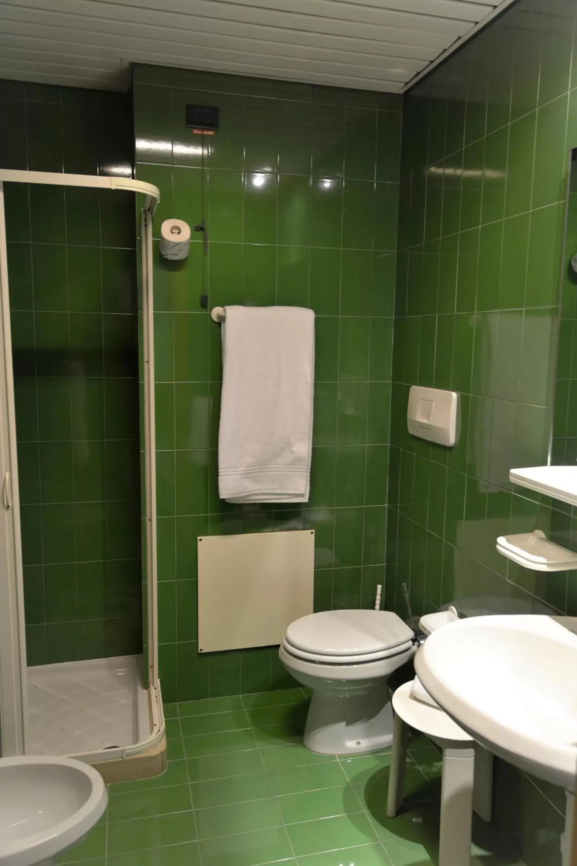 Shower, Bathroom in Grand Hotel Tiziano E Dei Congressi