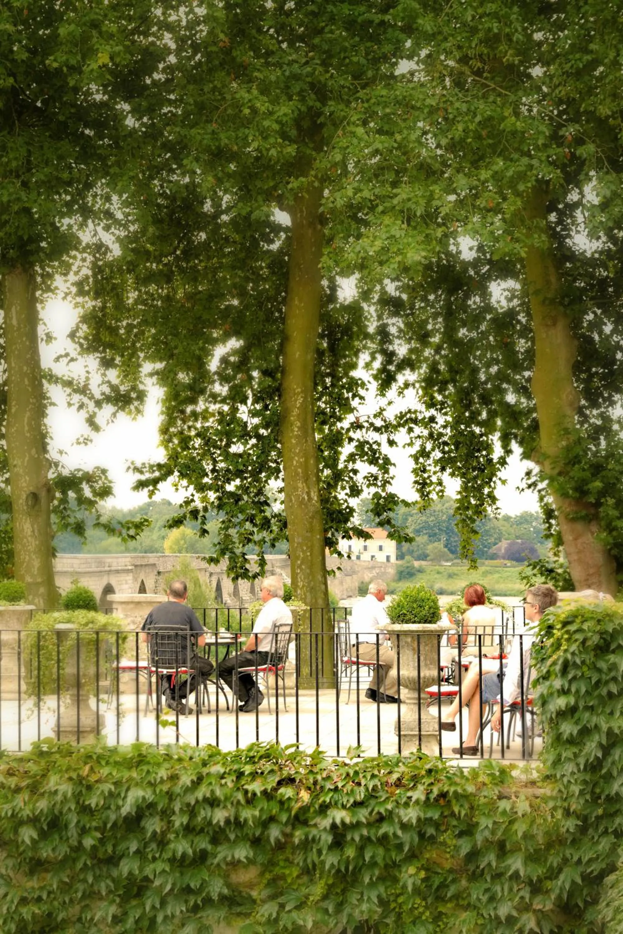 Garden in Grand Hôtel de l'Abbaye