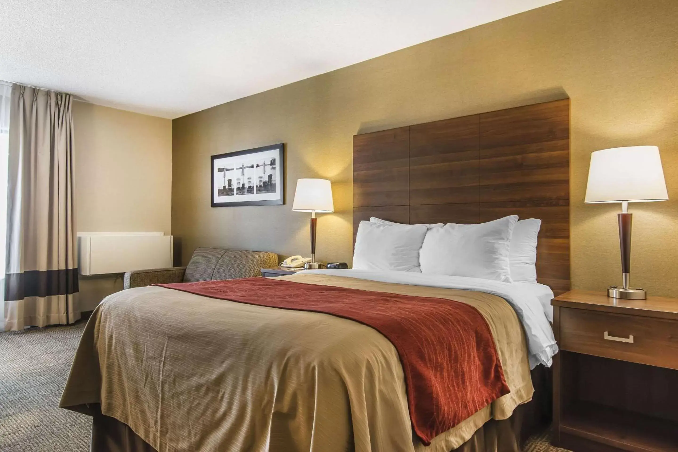 Photo of the whole room, Bed in Comfort Inn Photo of the whole room, Bed in Comfort Inn