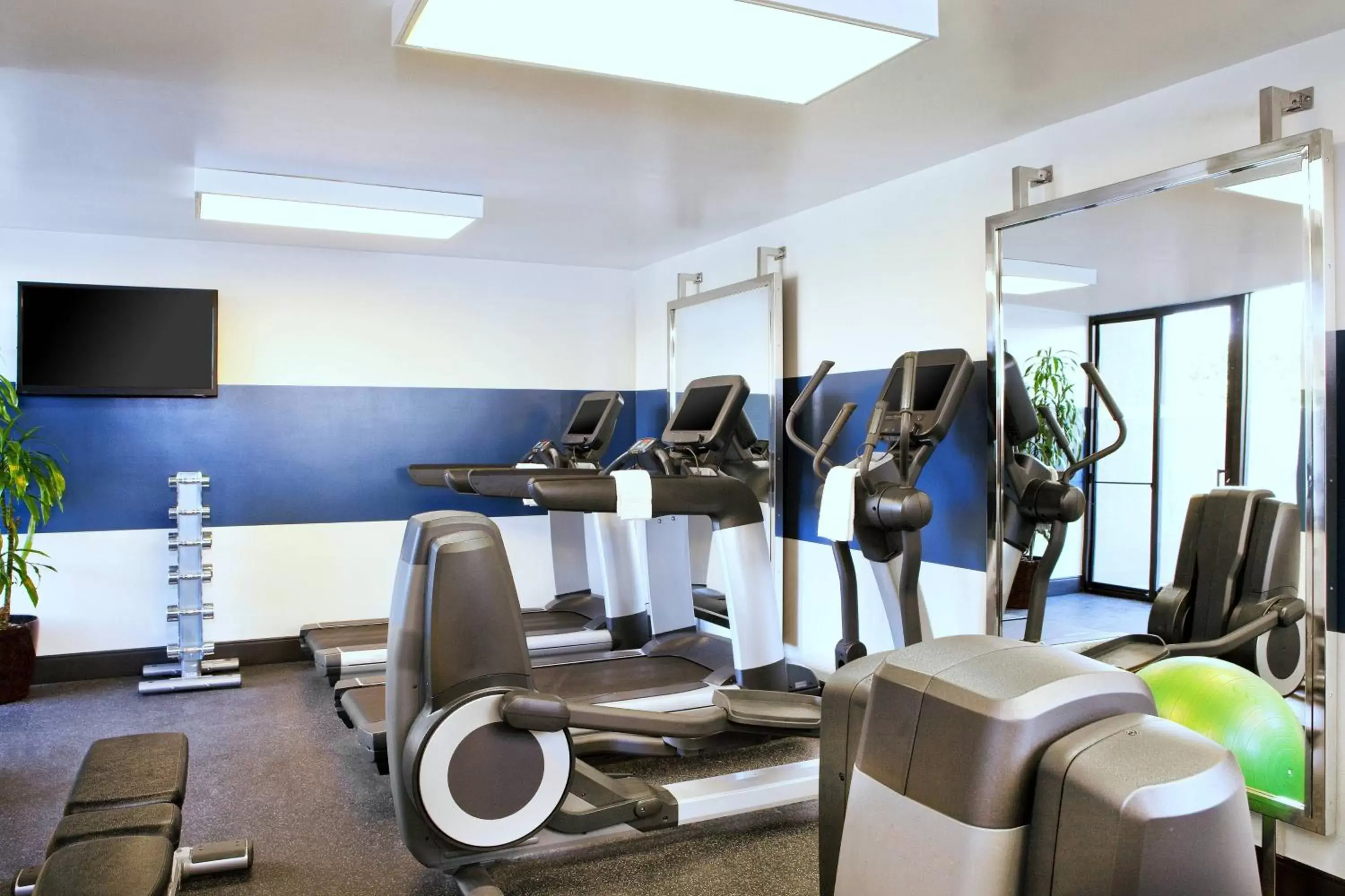 Fitness centre/facilities, Fitness Center/Facilities in Four Points by Sheraton - San Francisco Bay Bridge