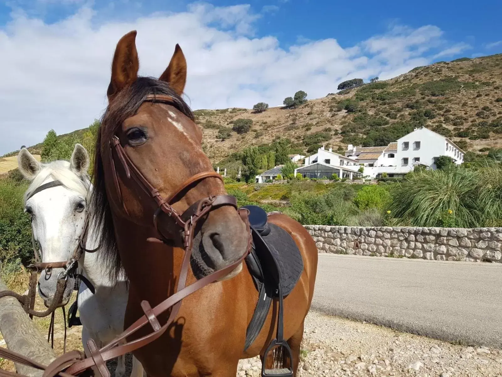 Horse-riding, Horseback Riding in La Fuente del Sol Hotel & Spa
